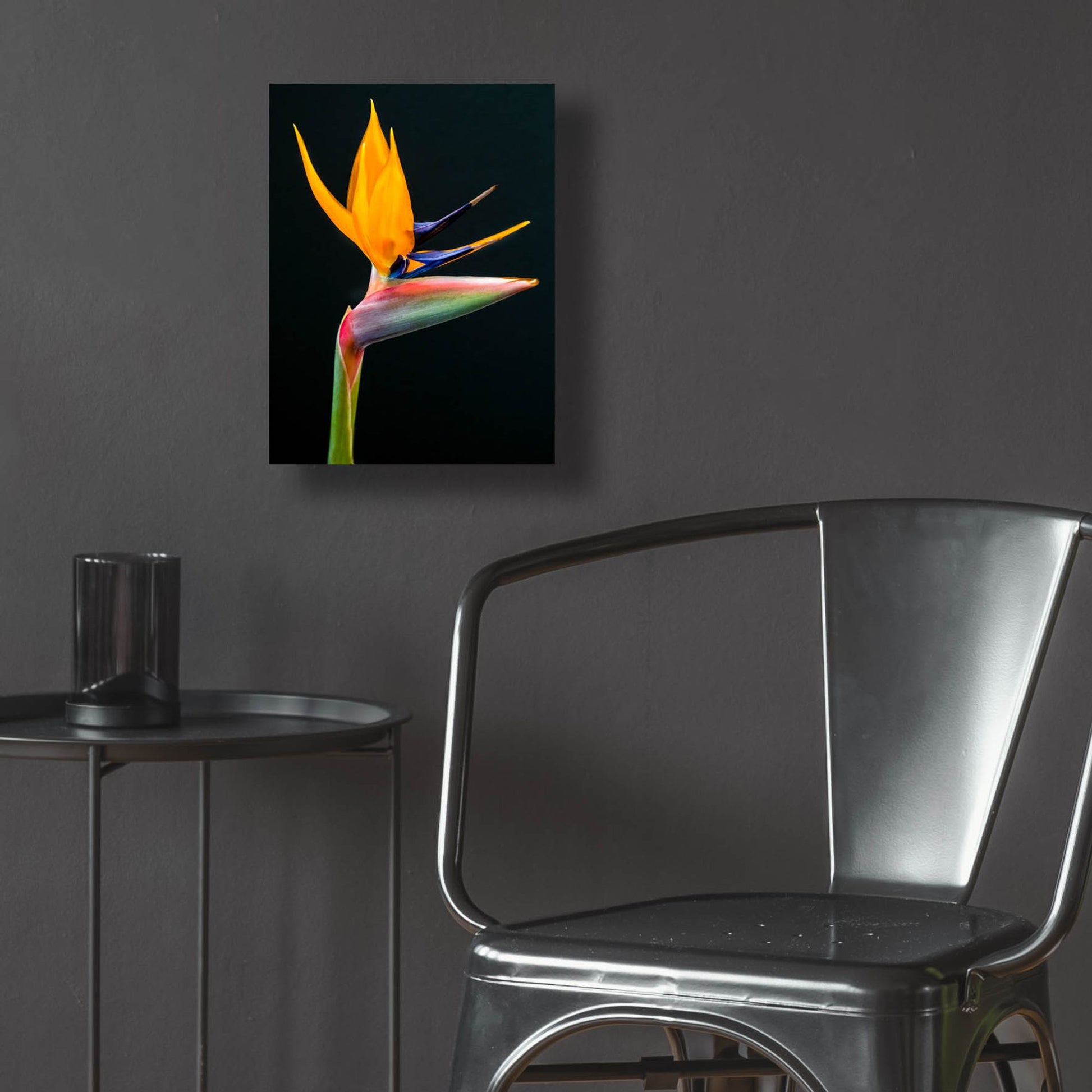 Epic Art 'Bird Of Paradise' by Pamela Plummer, Acrylic Glass Wall Art,12x16