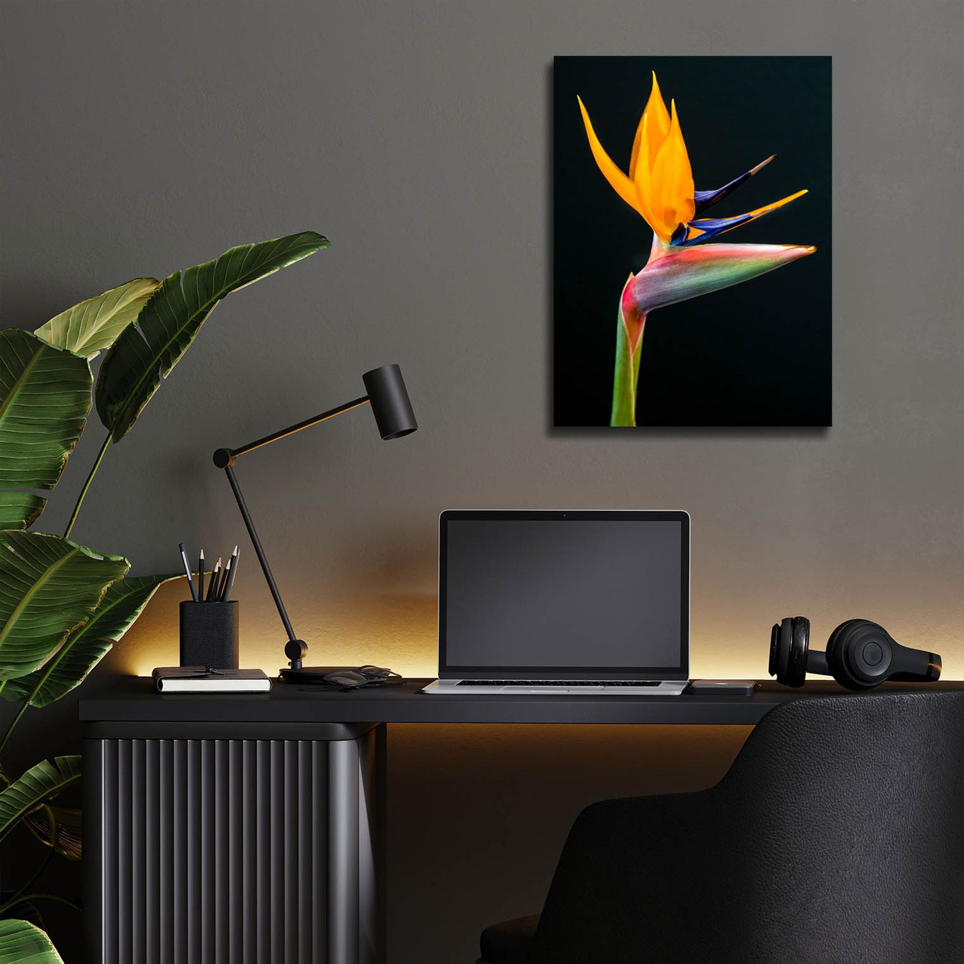 Epic Art 'Bird Of Paradise' by Pamela Plummer, Acrylic Glass Wall Art,12x16