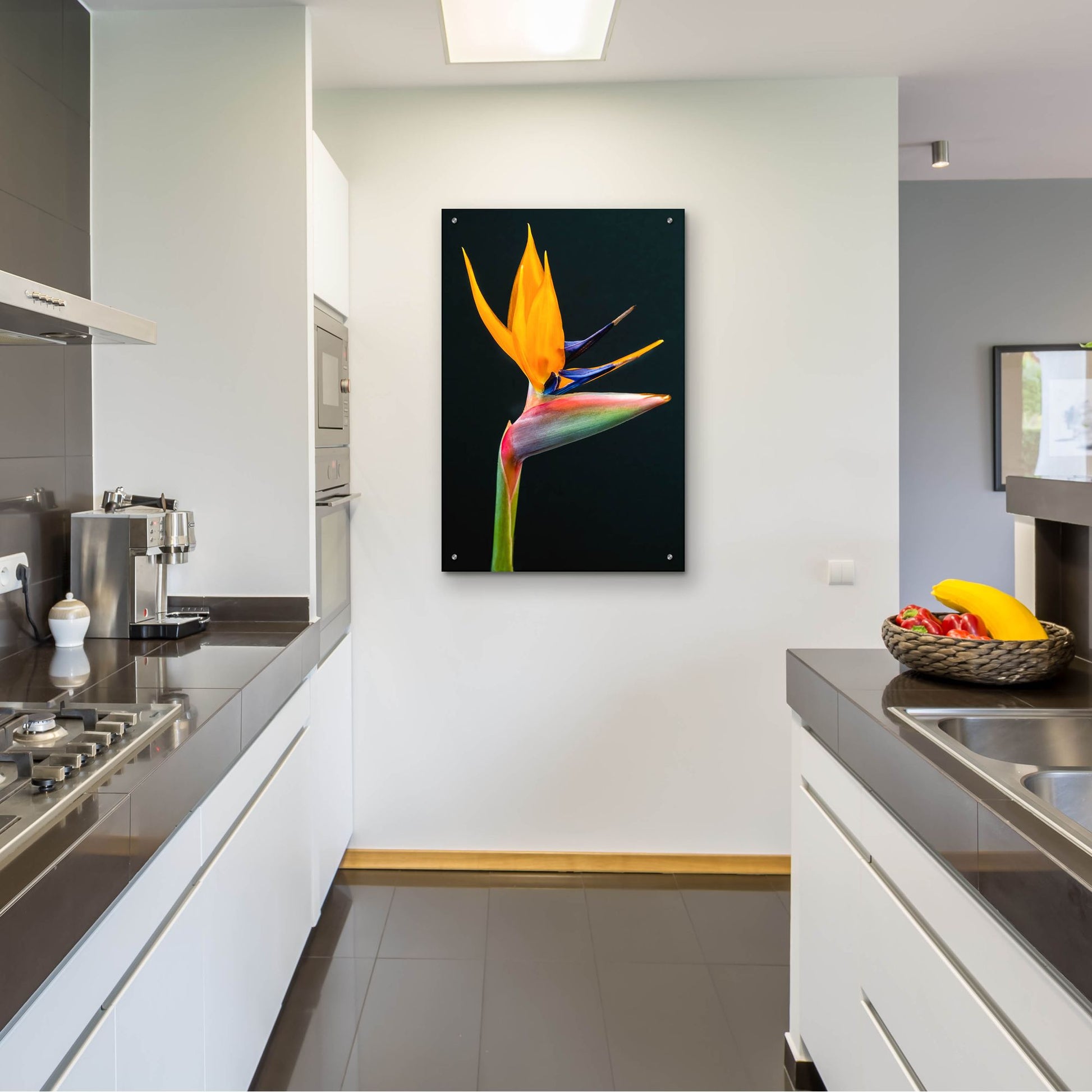 Epic Art 'Bird Of Paradise' by Pamela Plummer, Acrylic Glass Wall Art,24x36