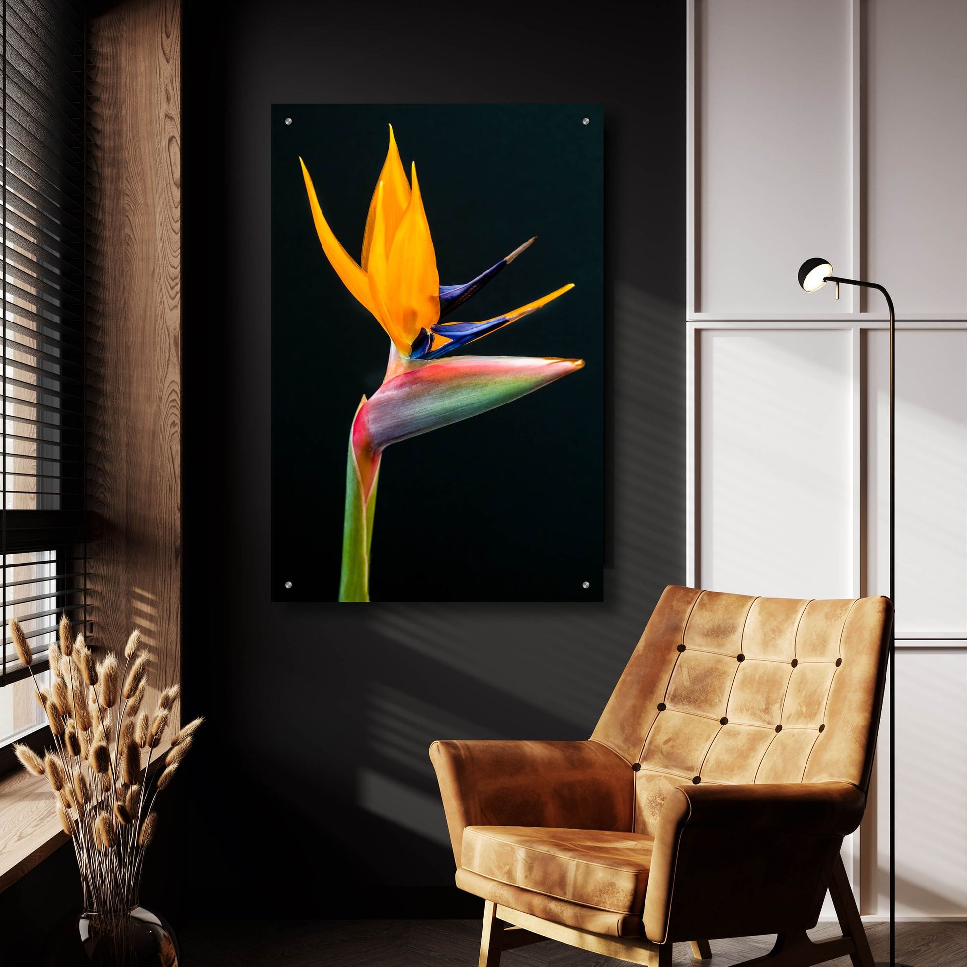 Epic Art 'Bird Of Paradise' by Pamela Plummer, Acrylic Glass Wall Art,24x36