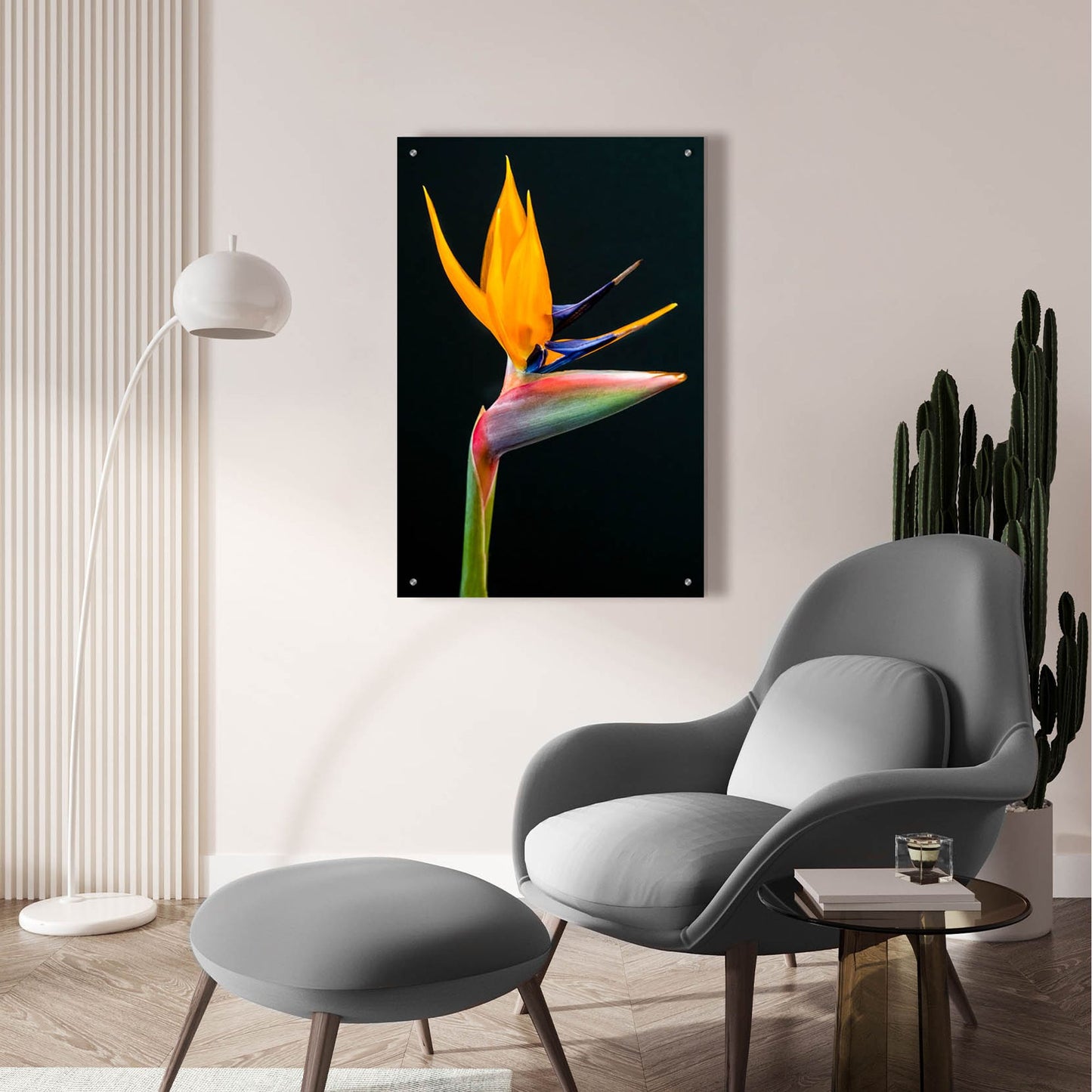 Epic Art 'Bird Of Paradise' by Pamela Plummer, Acrylic Glass Wall Art,24x36