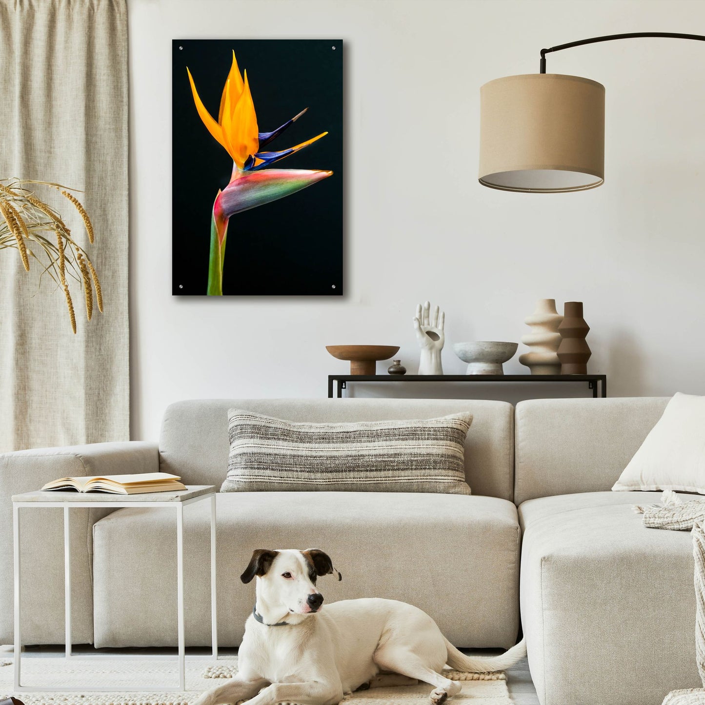 Epic Art 'Bird Of Paradise' by Pamela Plummer, Acrylic Glass Wall Art,24x36