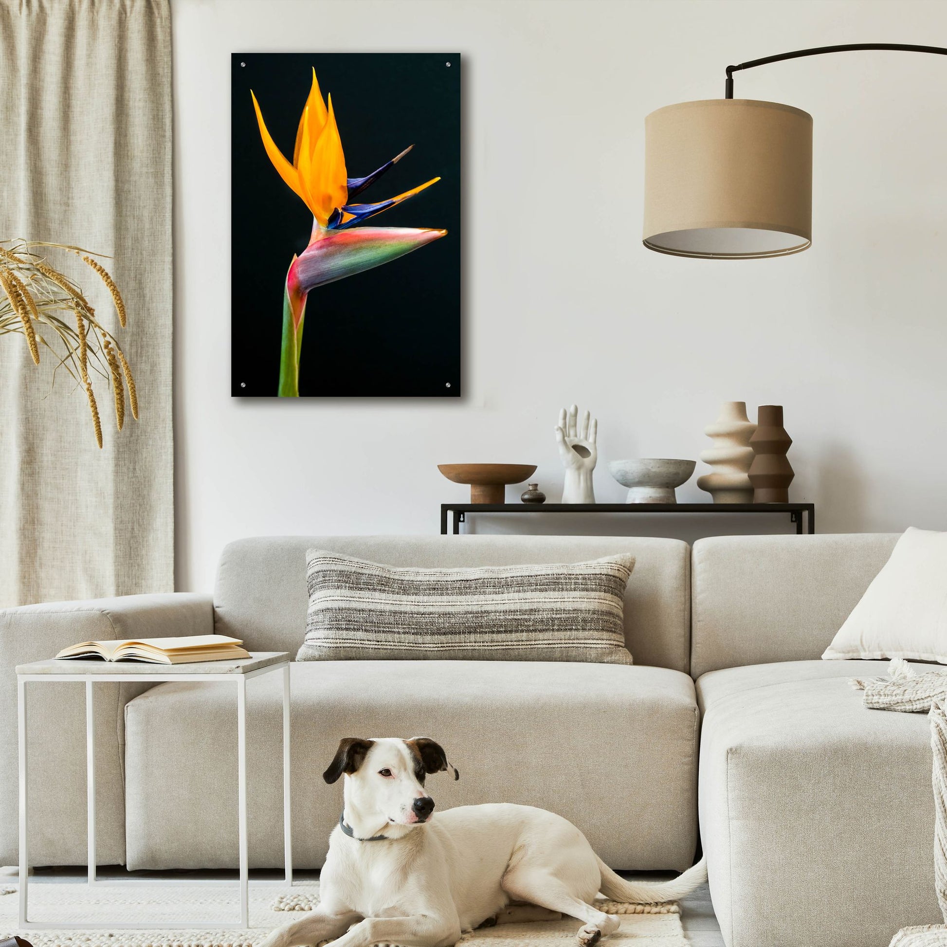 Epic Art 'Bird Of Paradise' by Pamela Plummer, Acrylic Glass Wall Art,24x36