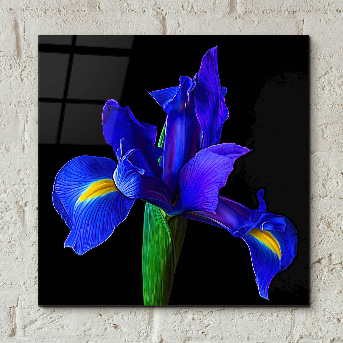 Epic Art 'Blue Iris' by Pamela Plummer, Acrylic Glass Wall Art,12x12