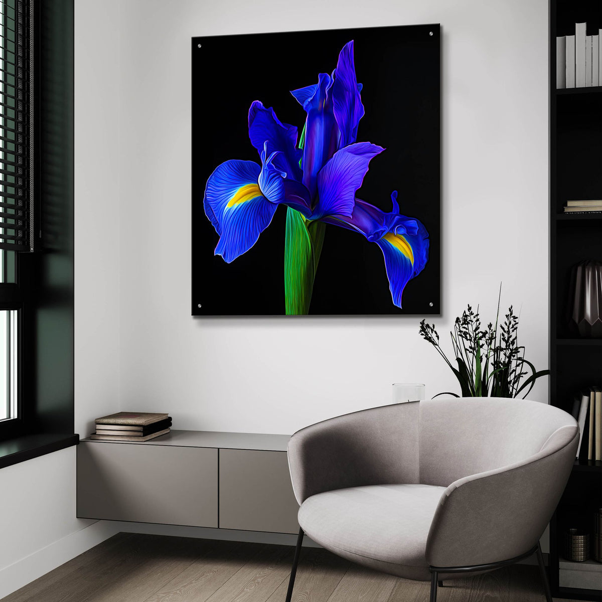 Epic Art 'Blue Iris' by Pamela Plummer, Acrylic Glass Wall Art,36x36