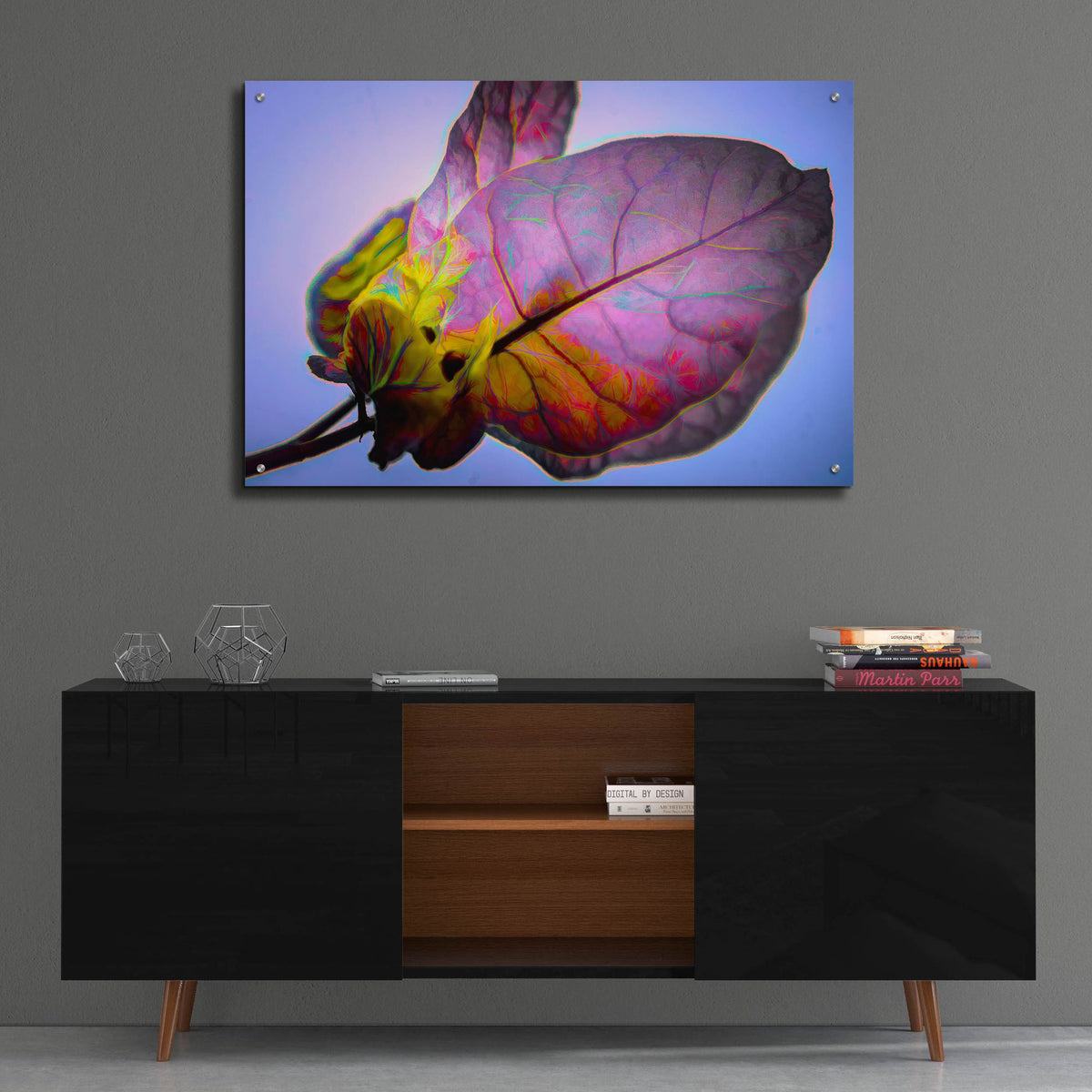 Epic Art 'Bougainvillea Leaf' by Pamela Plummer, Acrylic Glass Wall Art,36x24