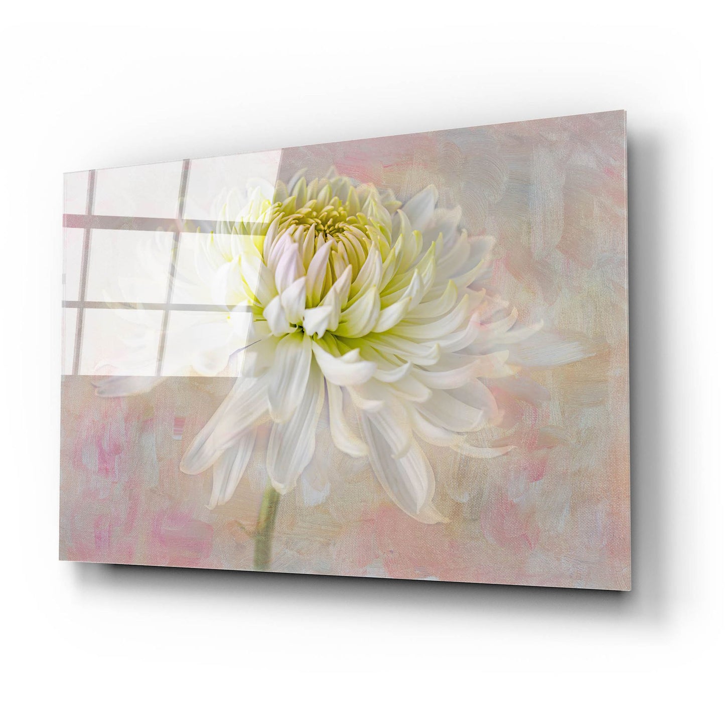 Epic Art 'Cherish' by Pamela Plummer, Acrylic Glass Wall Art,24x16