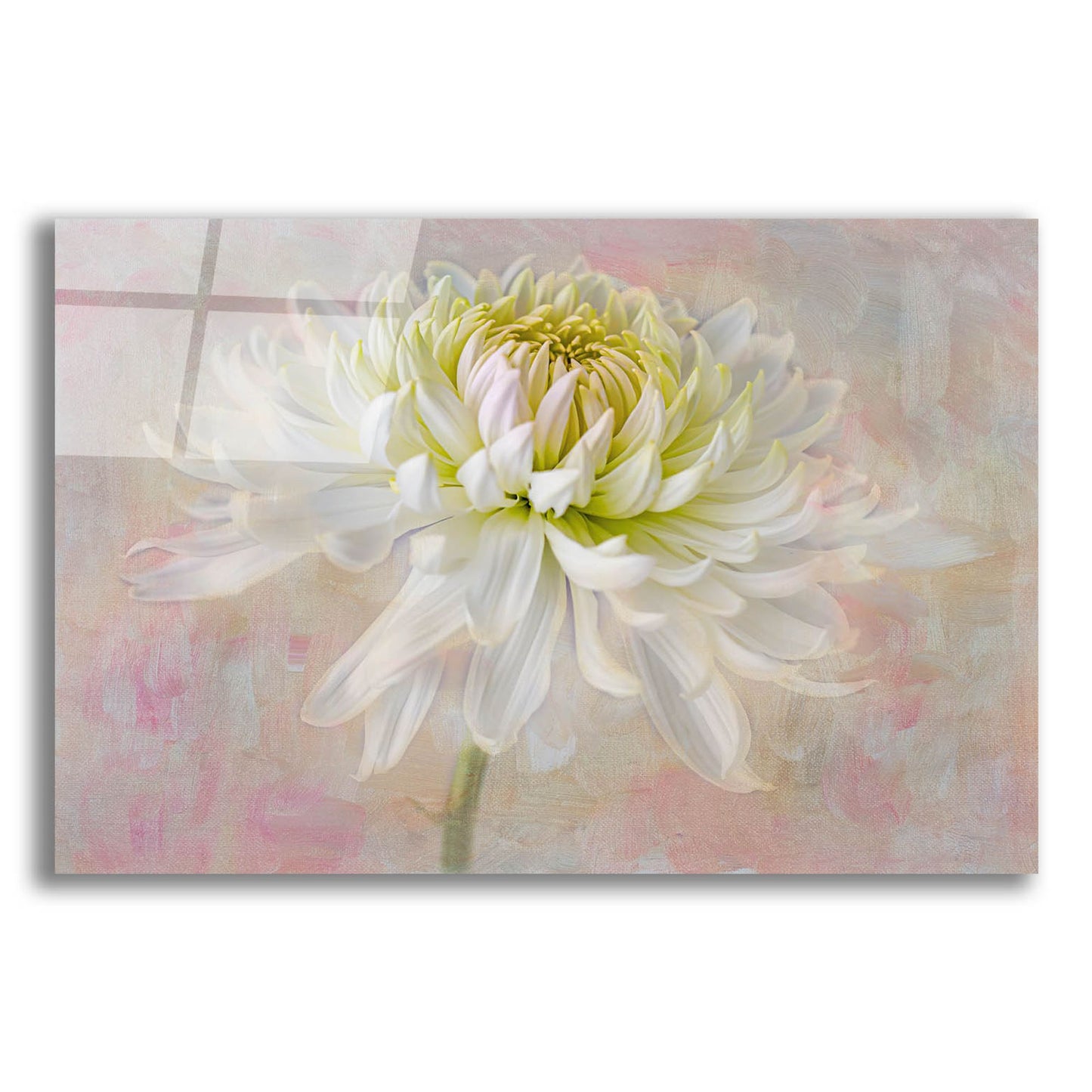 Epic Art 'Cherish' by Pamela Plummer, Acrylic Glass Wall Art