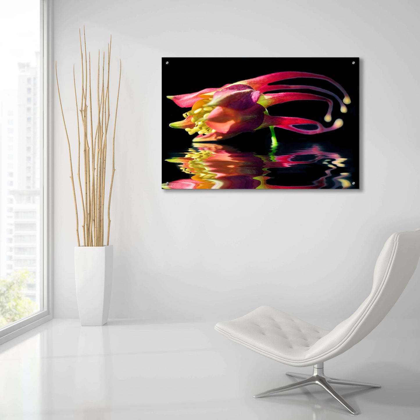 Epic Art 'Columbine Reflection' by Pamela Plummer, Acrylic Glass Wall Art,36x24