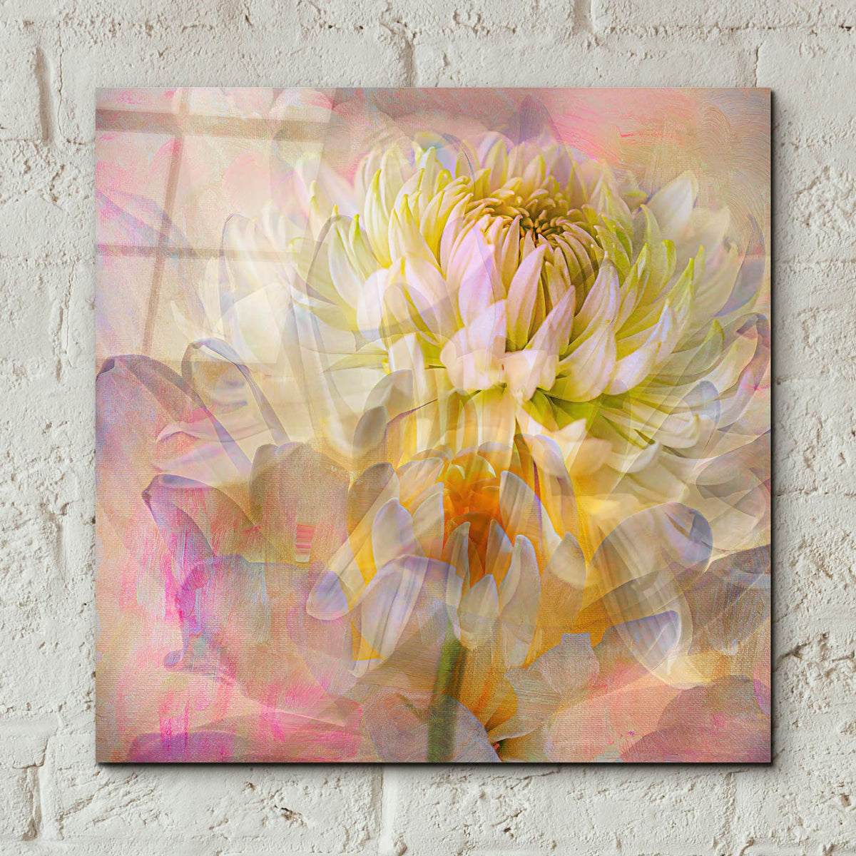 Epic Art 'Cotton Candy' by Pamela Plummer, Acrylic Glass Wall Art,12x12