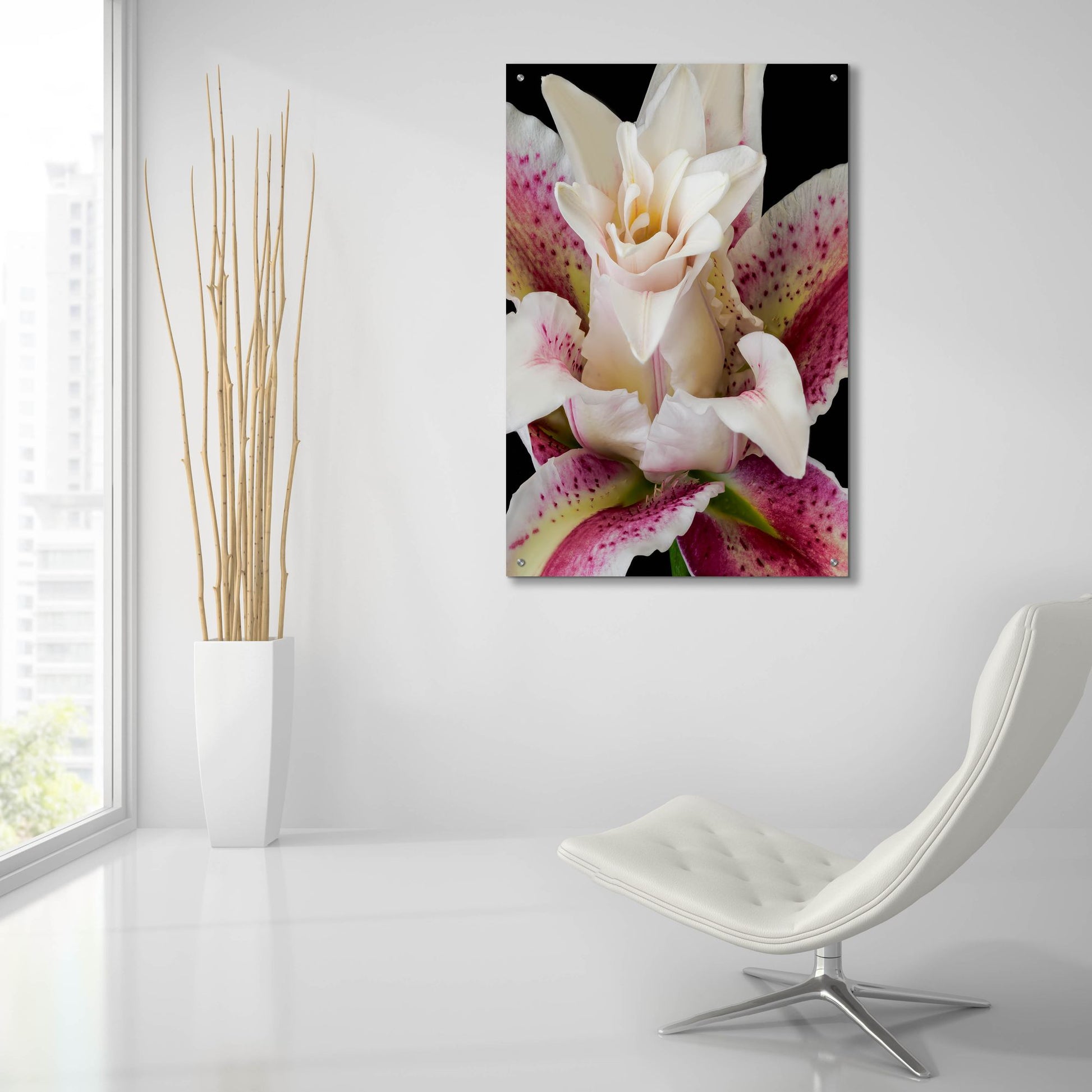 Epic Art 'Crowning Glory' by Pamela Plummer, Acrylic Glass Wall Art,24x36