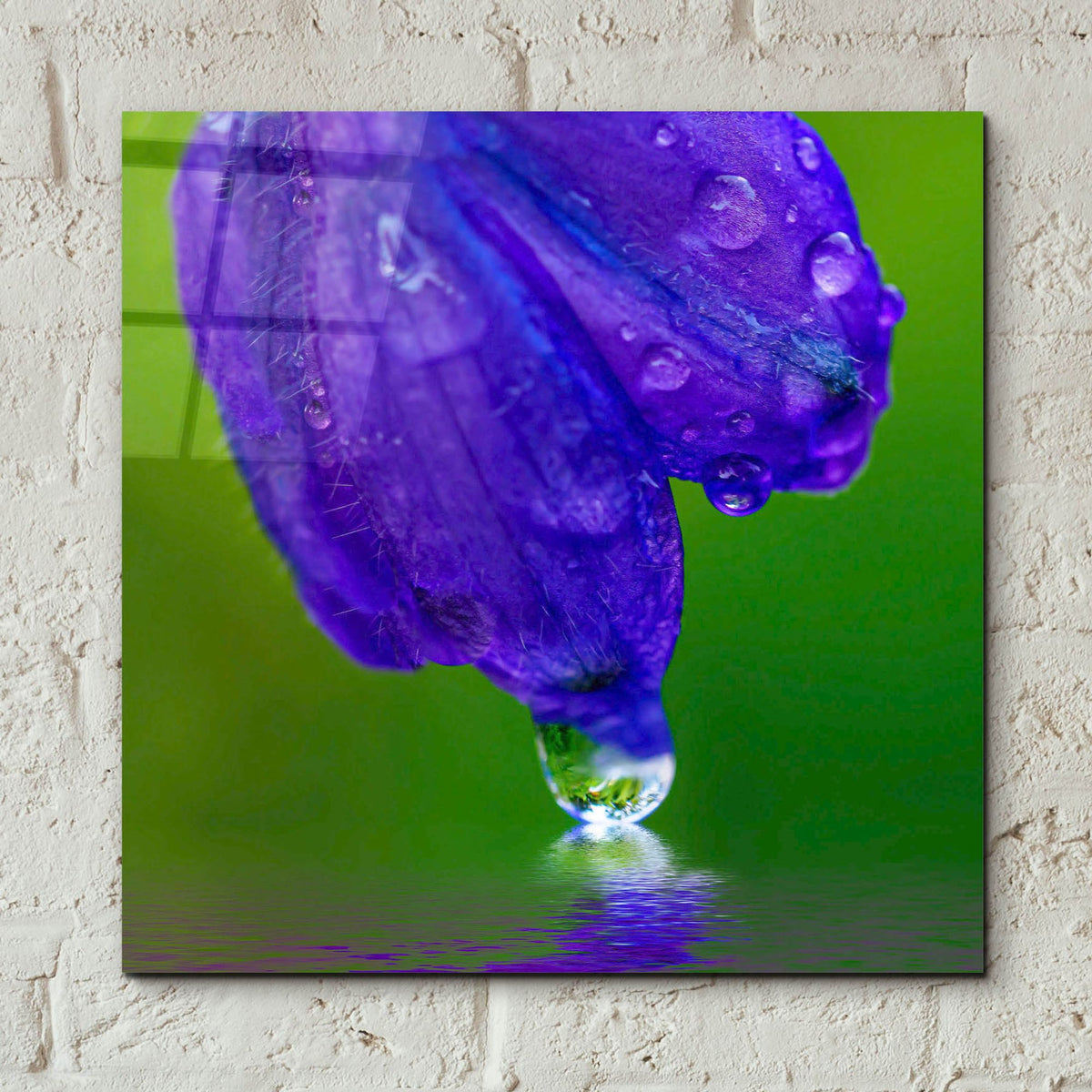 Epic Art 'Delphinium Kiss' by Pamela Plummer, Acrylic Glass Wall Art,12x12
