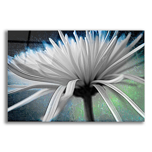 Epic Art 'Explosion 2' by Pamela Plummer, Acrylic Glass Wall Art