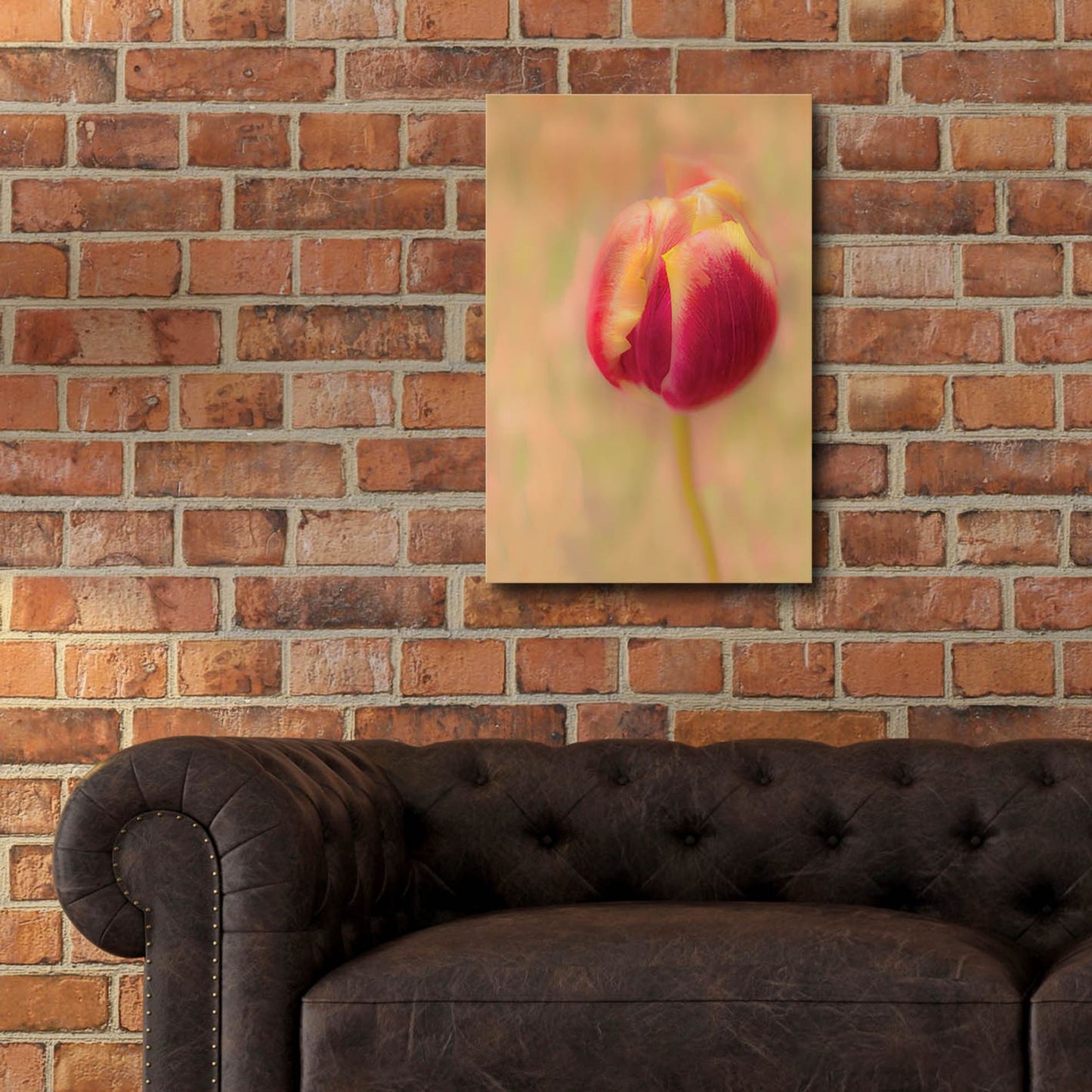 Epic Art 'First Bloom' by Pamela Plummer, Acrylic Glass Wall Art,16x24