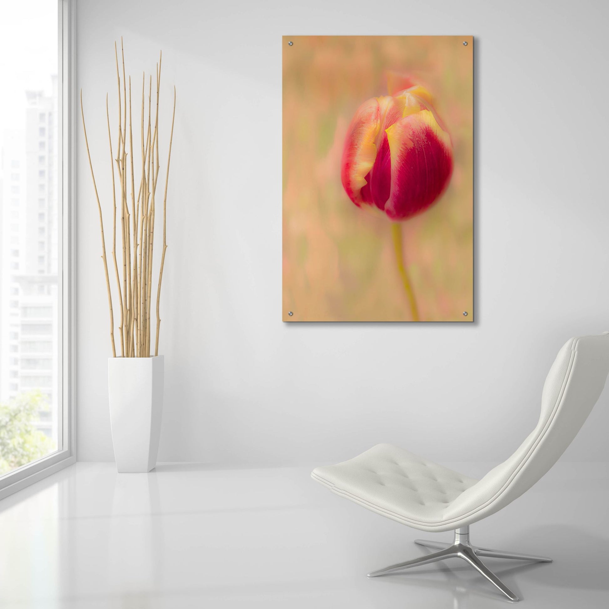 Epic Art 'First Bloom' by Pamela Plummer, Acrylic Glass Wall Art,24x36