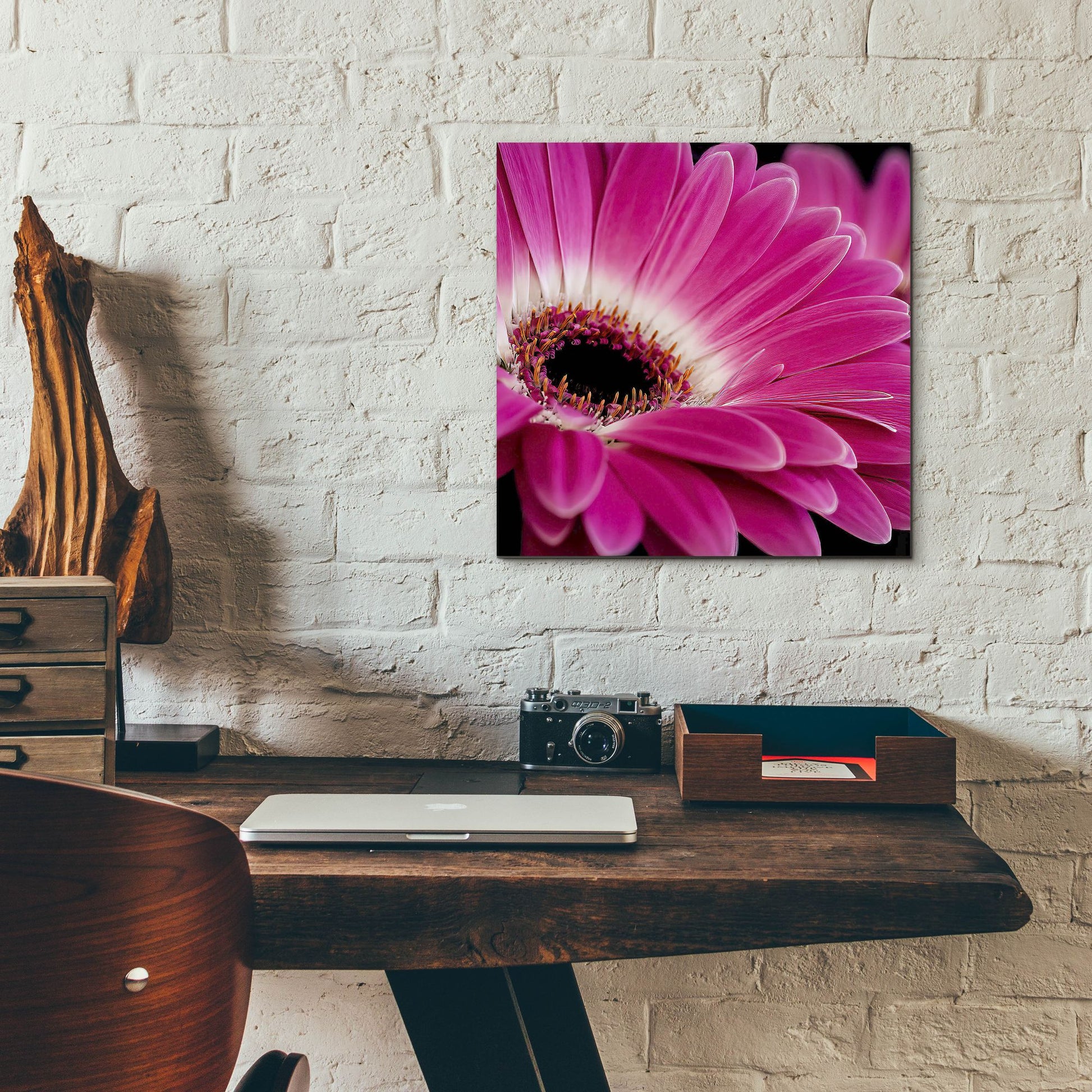 Epic Art 'Gerbera Daisy' by Pamela Plummer, Acrylic Glass Wall Art,12x12