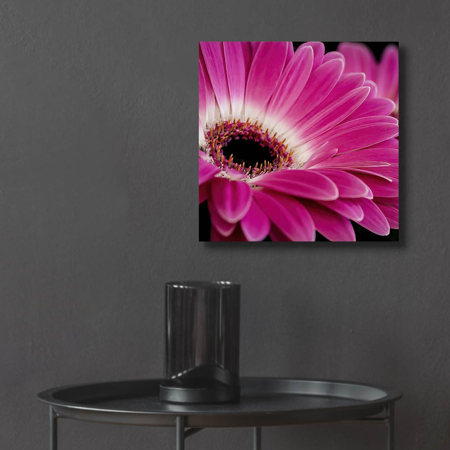 Epic Art 'Gerbera Daisy' by Pamela Plummer, Acrylic Glass Wall Art,12x12