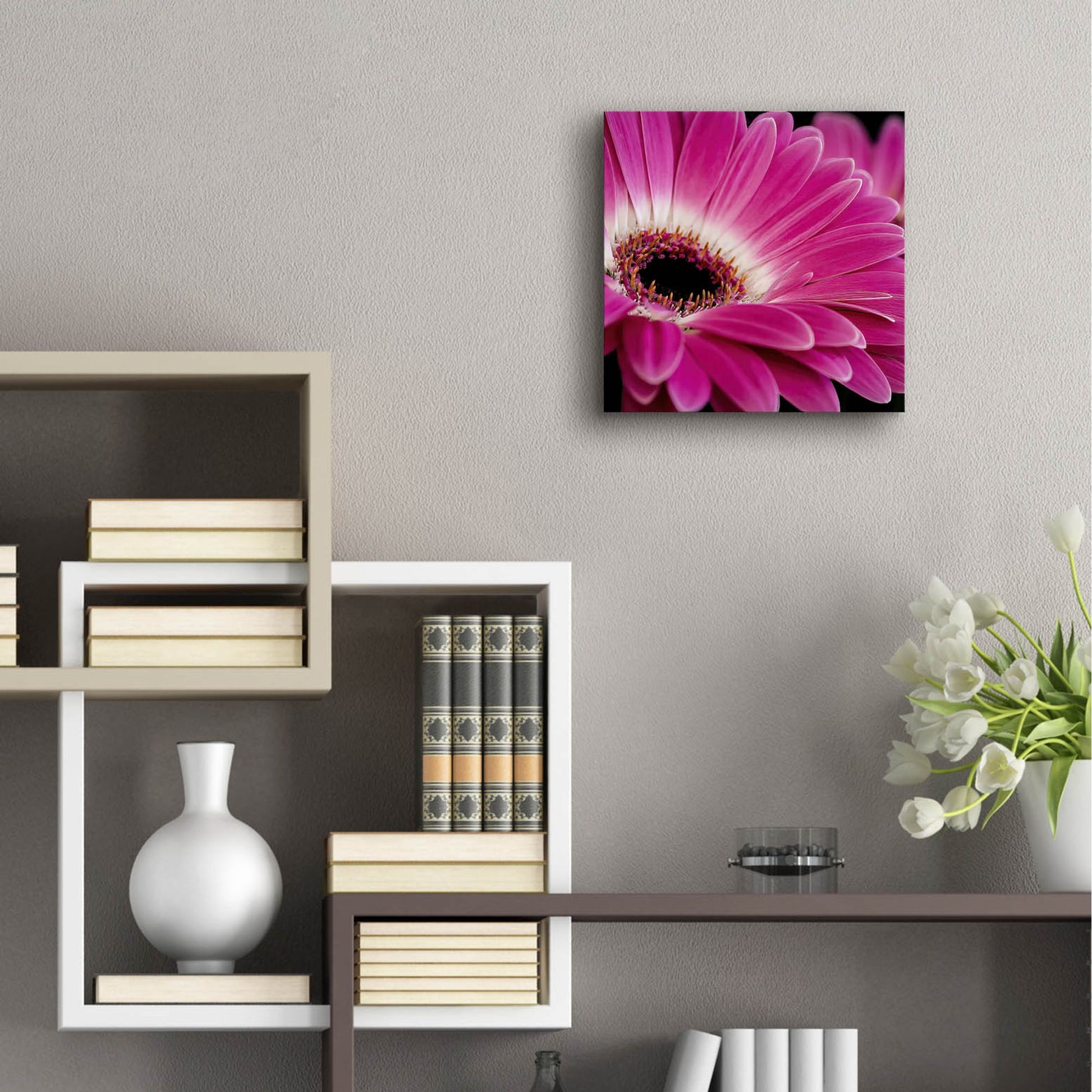 Epic Art 'Gerbera Daisy' by Pamela Plummer, Acrylic Glass Wall Art,12x12