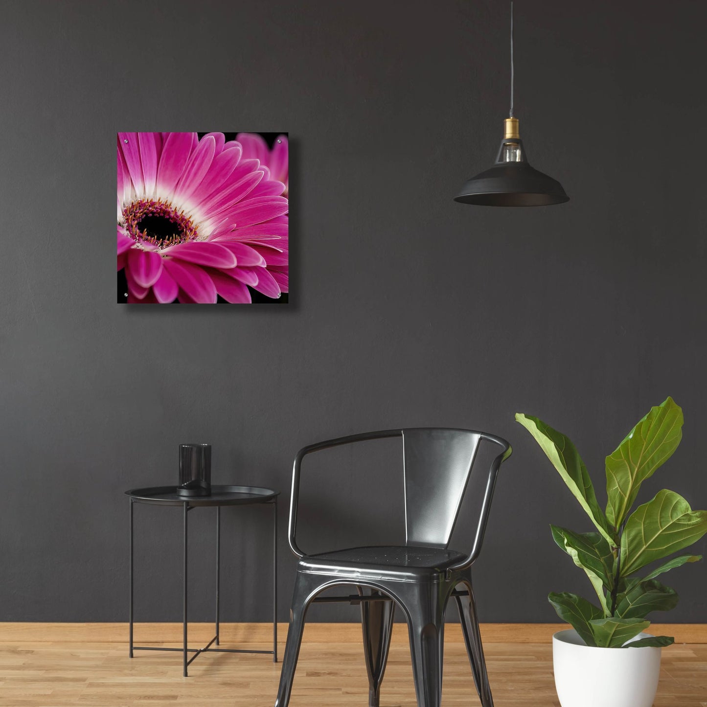 Epic Art 'Gerbera Daisy' by Pamela Plummer, Acrylic Glass Wall Art,24x24