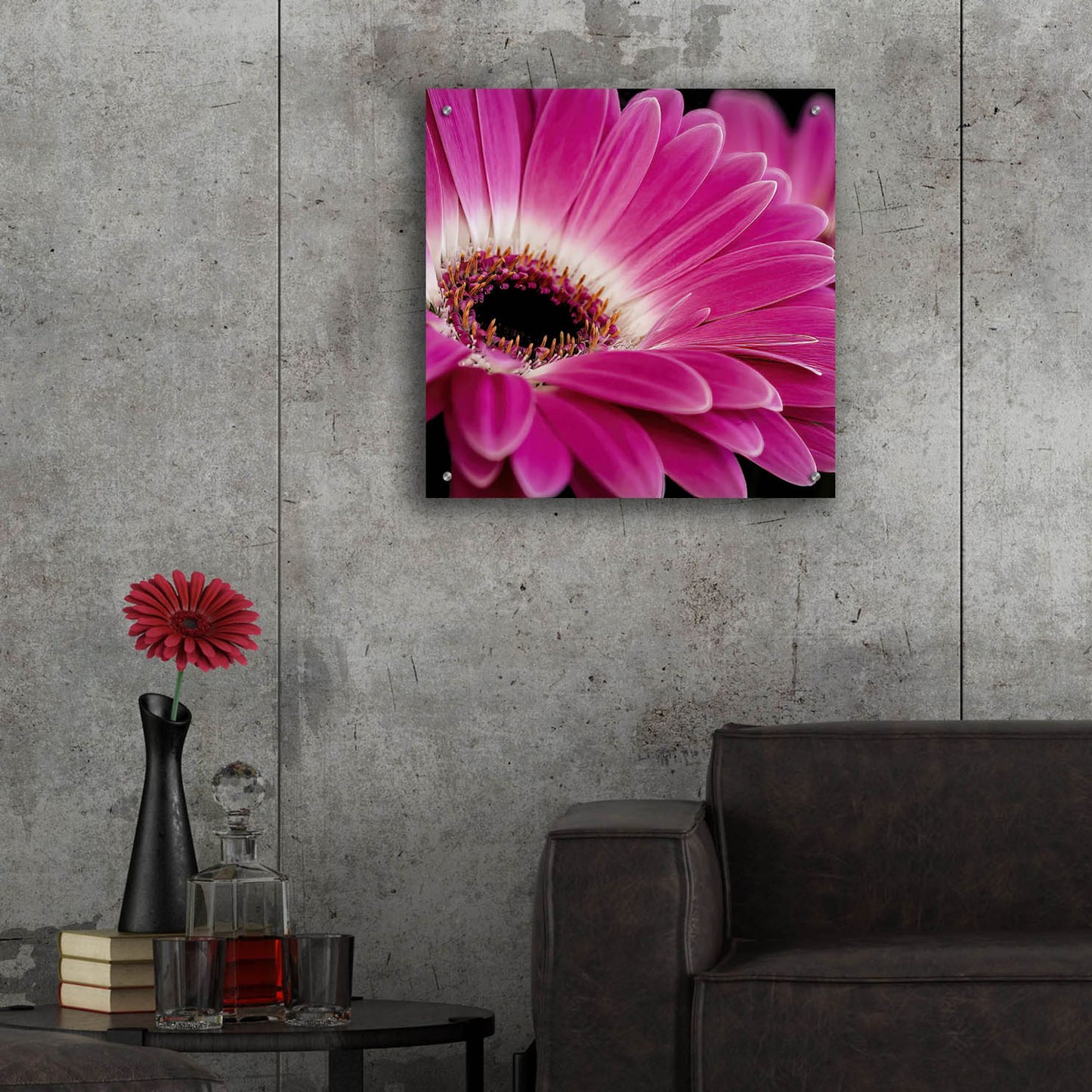 Epic Art 'Gerbera Daisy' by Pamela Plummer, Acrylic Glass Wall Art,24x24