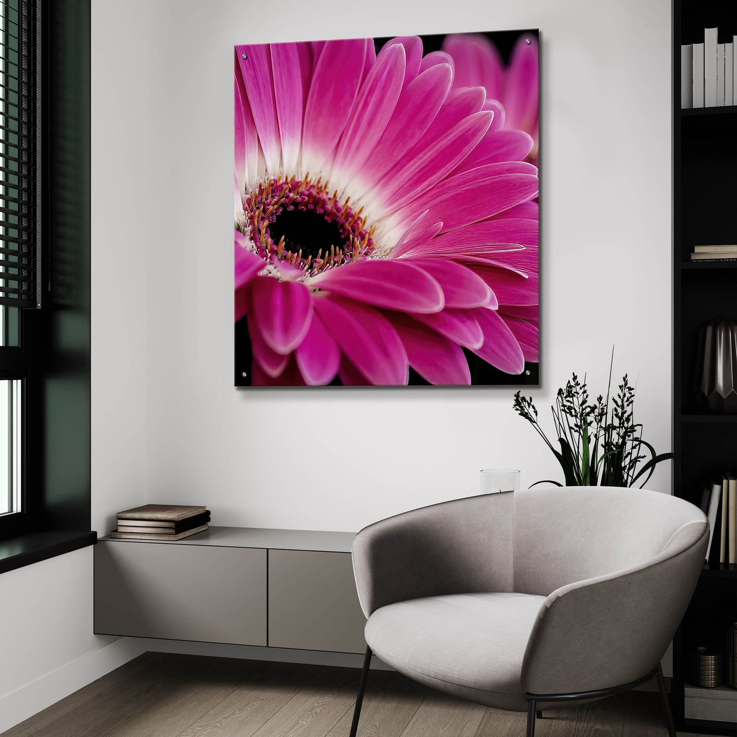 Epic Art 'Gerbera Daisy' by Pamela Plummer, Acrylic Glass Wall Art,36x36