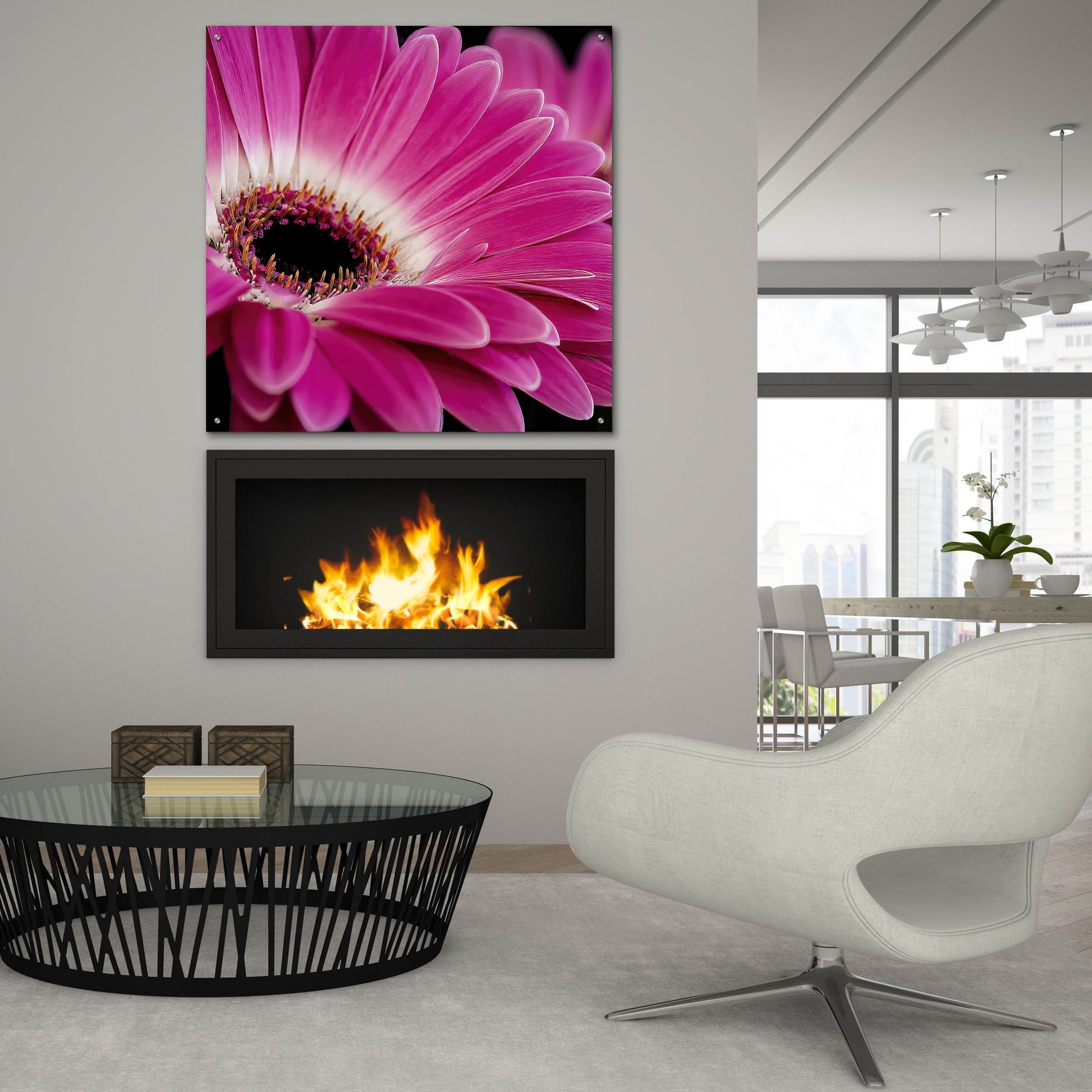 Epic Art 'Gerbera Daisy' by Pamela Plummer, Acrylic Glass Wall Art,36x36