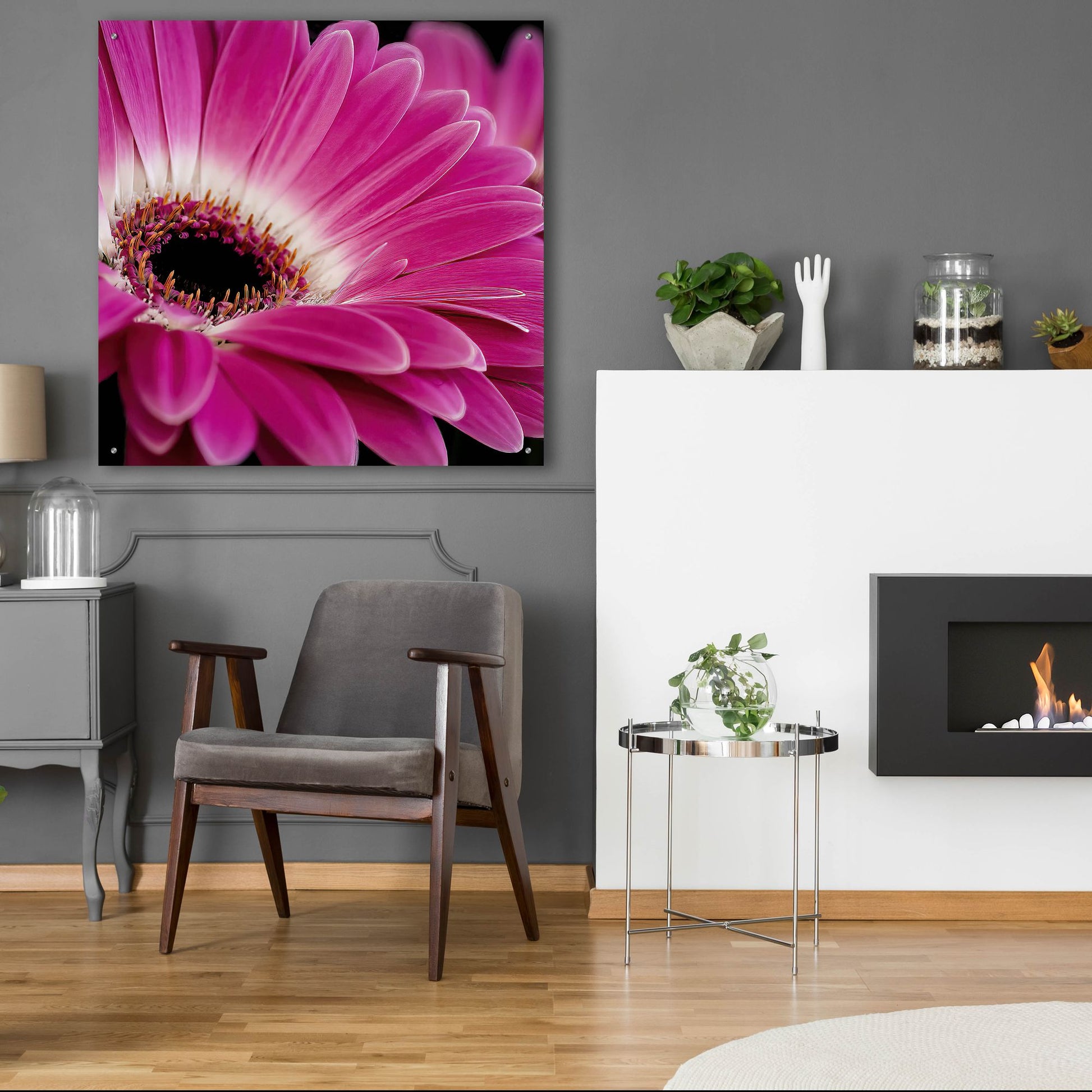 Epic Art 'Gerbera Daisy' by Pamela Plummer, Acrylic Glass Wall Art,36x36