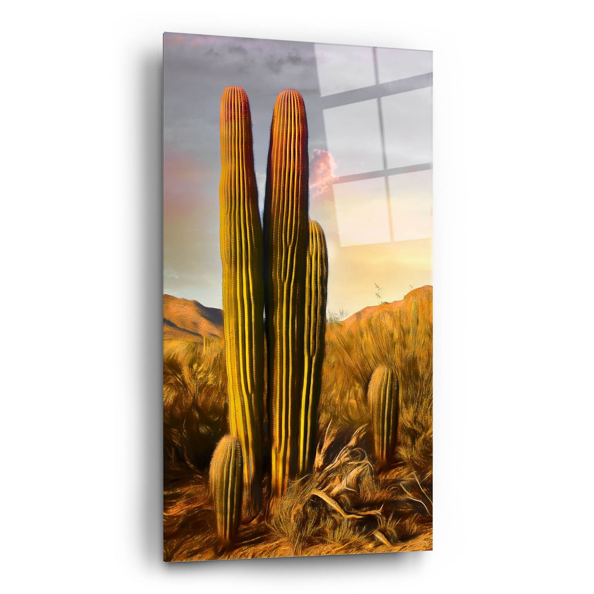 Epic Art 'Grandmother Saguaro' by Pamela Plummer, Acrylic Glass Wall Art,12x24