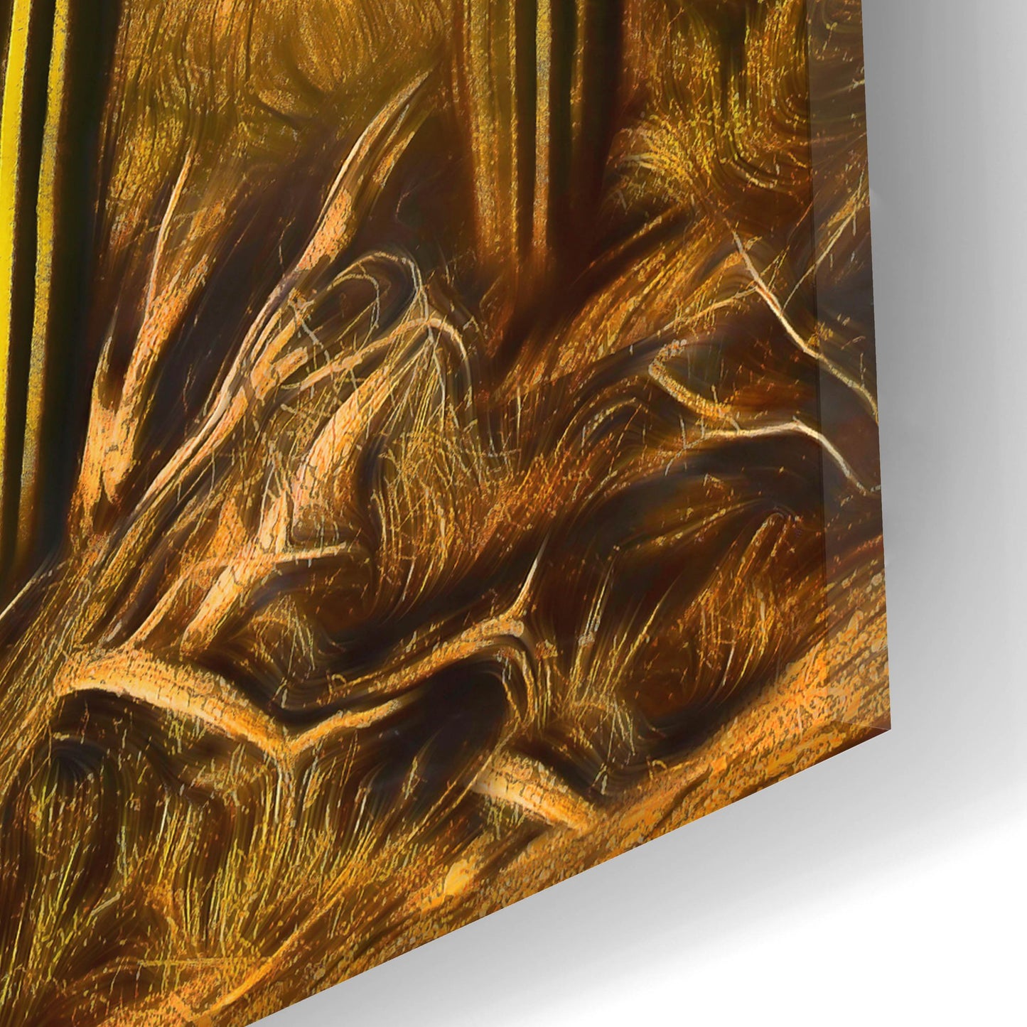 Epic Art 'Grandmother Saguaro' by Pamela Plummer, Acrylic Glass Wall Art,12x24