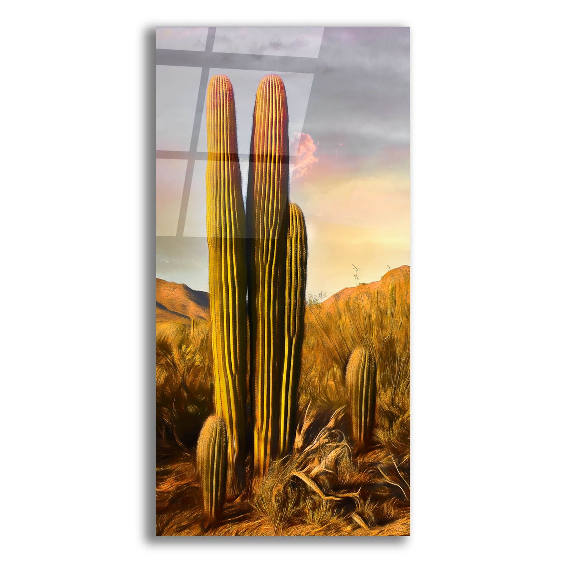 Epic Art 'Grandmother Saguaro' by Pamela Plummer, Acrylic Glass Wall Art,12x24