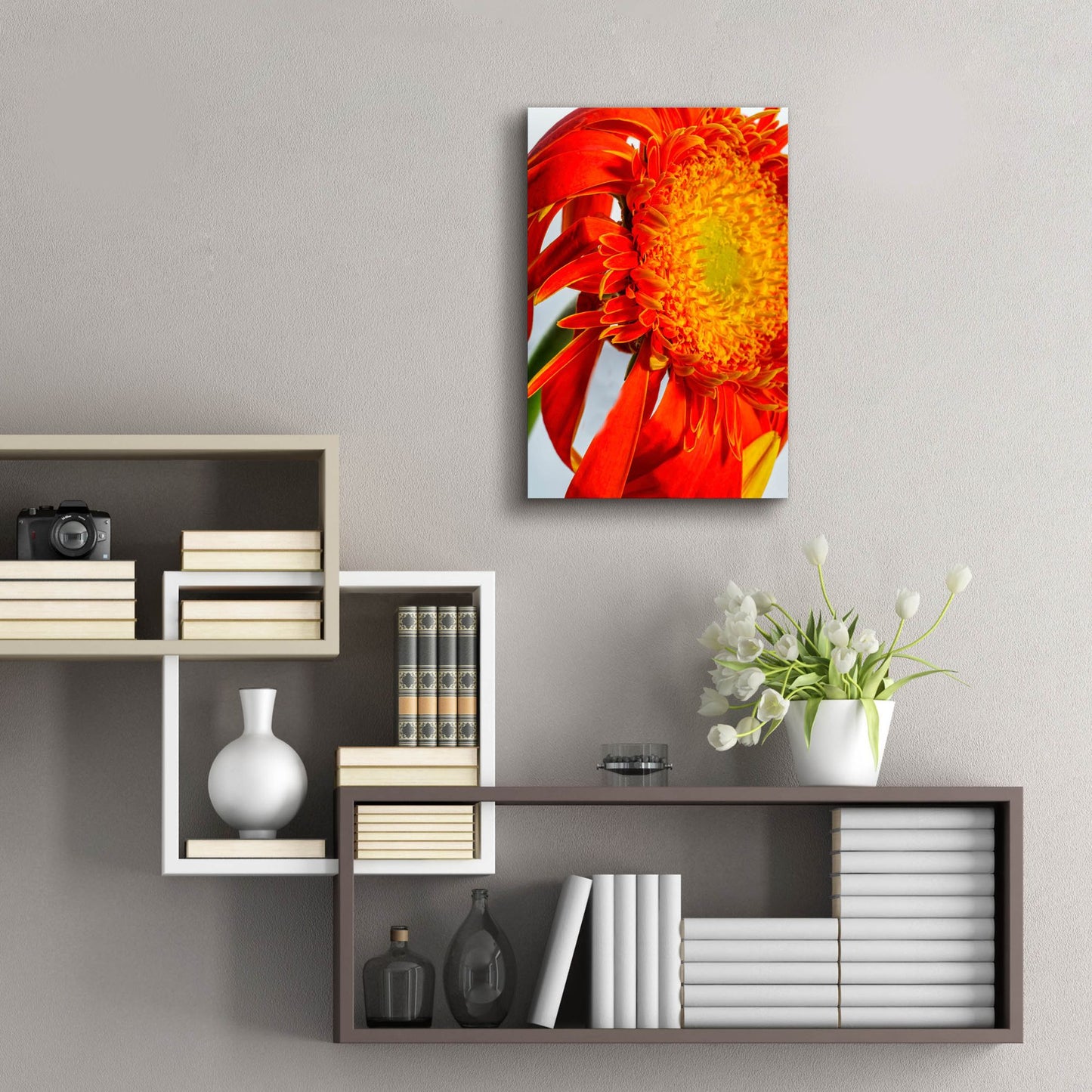 Epic Art 'Last Bloom' by Pamela Plummer, Acrylic Glass Wall Art,16x24