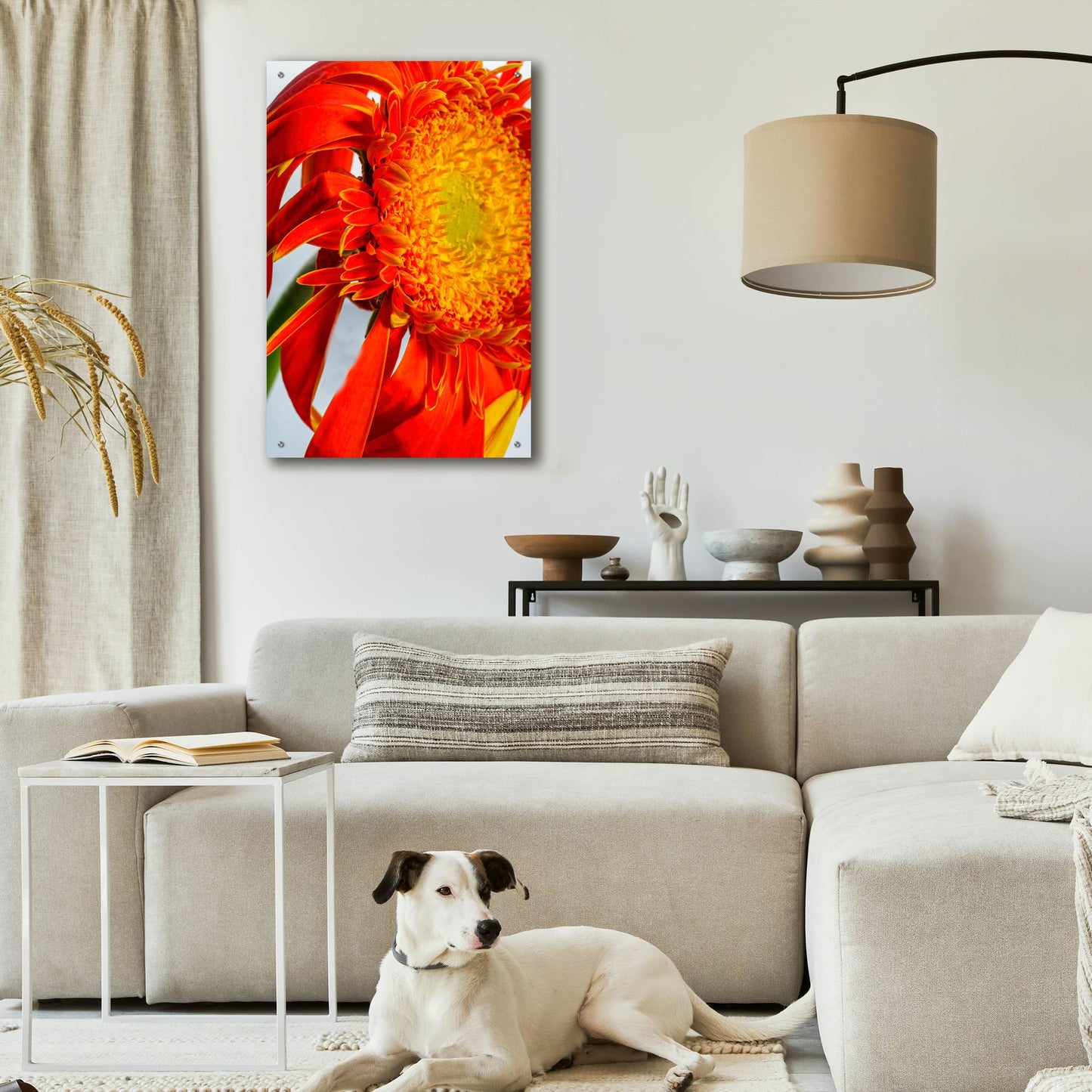 Epic Art 'Last Bloom' by Pamela Plummer, Acrylic Glass Wall Art,24x36