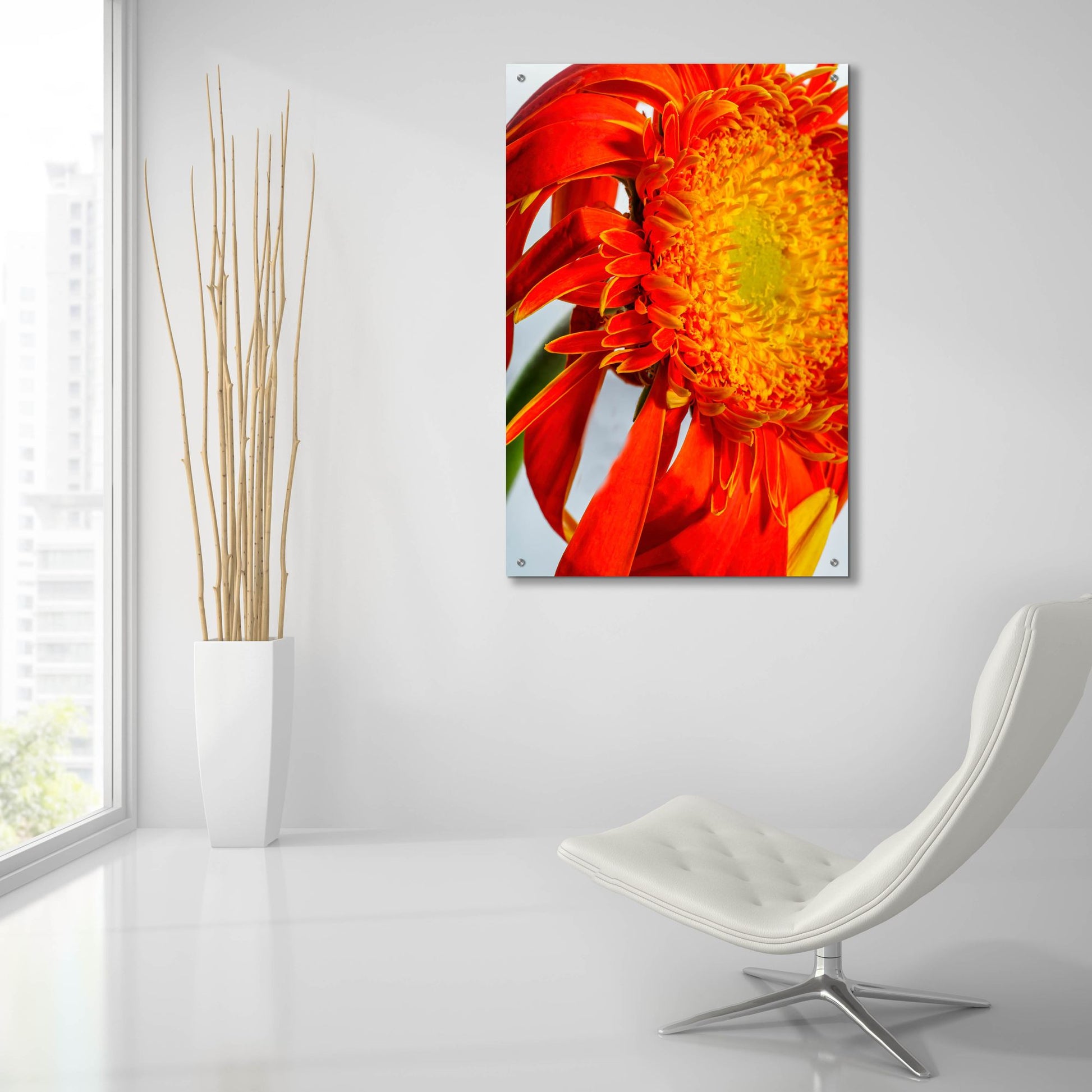 Epic Art 'Last Bloom' by Pamela Plummer, Acrylic Glass Wall Art,24x36