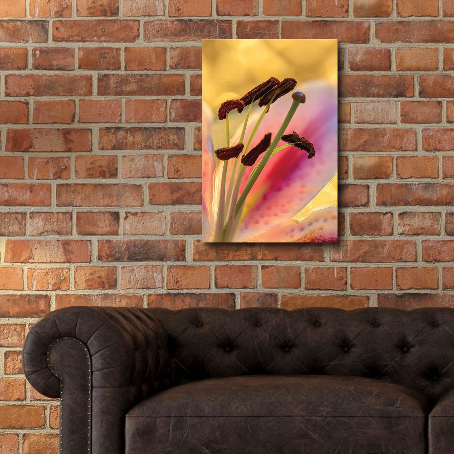 Epic Art 'Lily Anthers' by Pamela Plummer, Acrylic Glass Wall Art,16x24