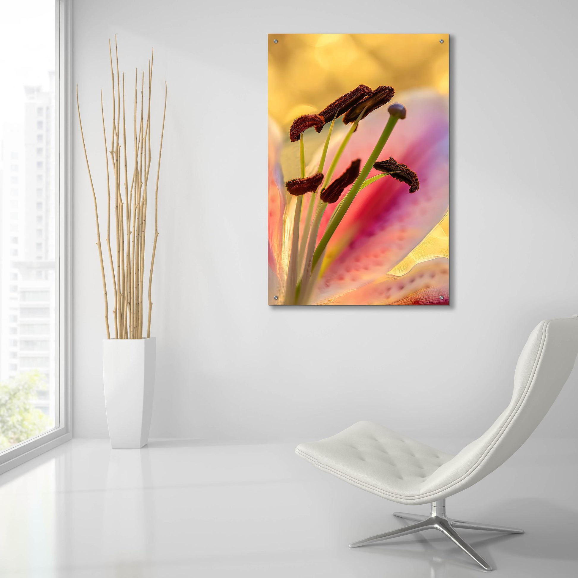 Epic Art 'Lily Anthers' by Pamela Plummer, Acrylic Glass Wall Art,24x36