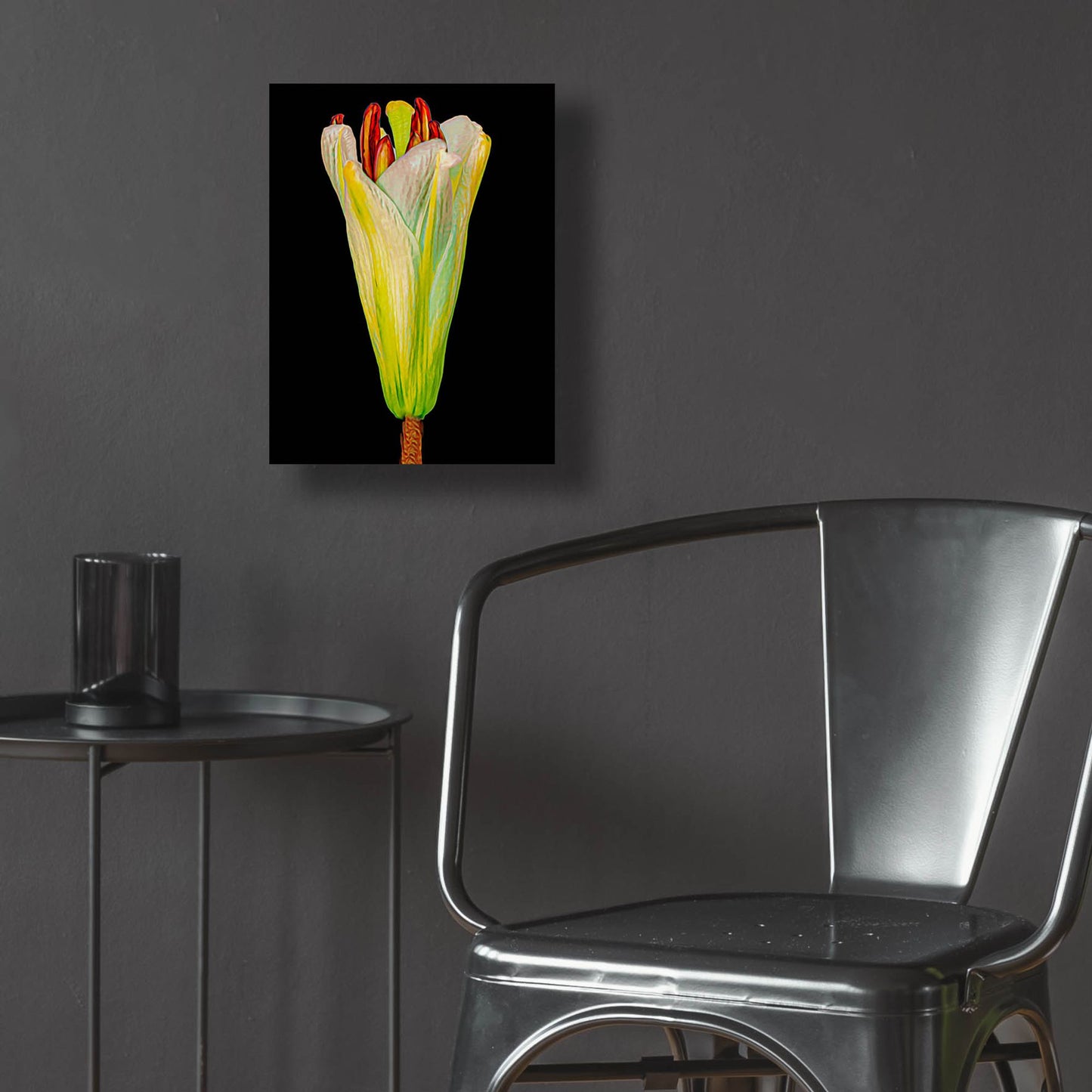 Epic Art 'Lily Bud' by Pamela Plummer, Acrylic Glass Wall Art,12x16