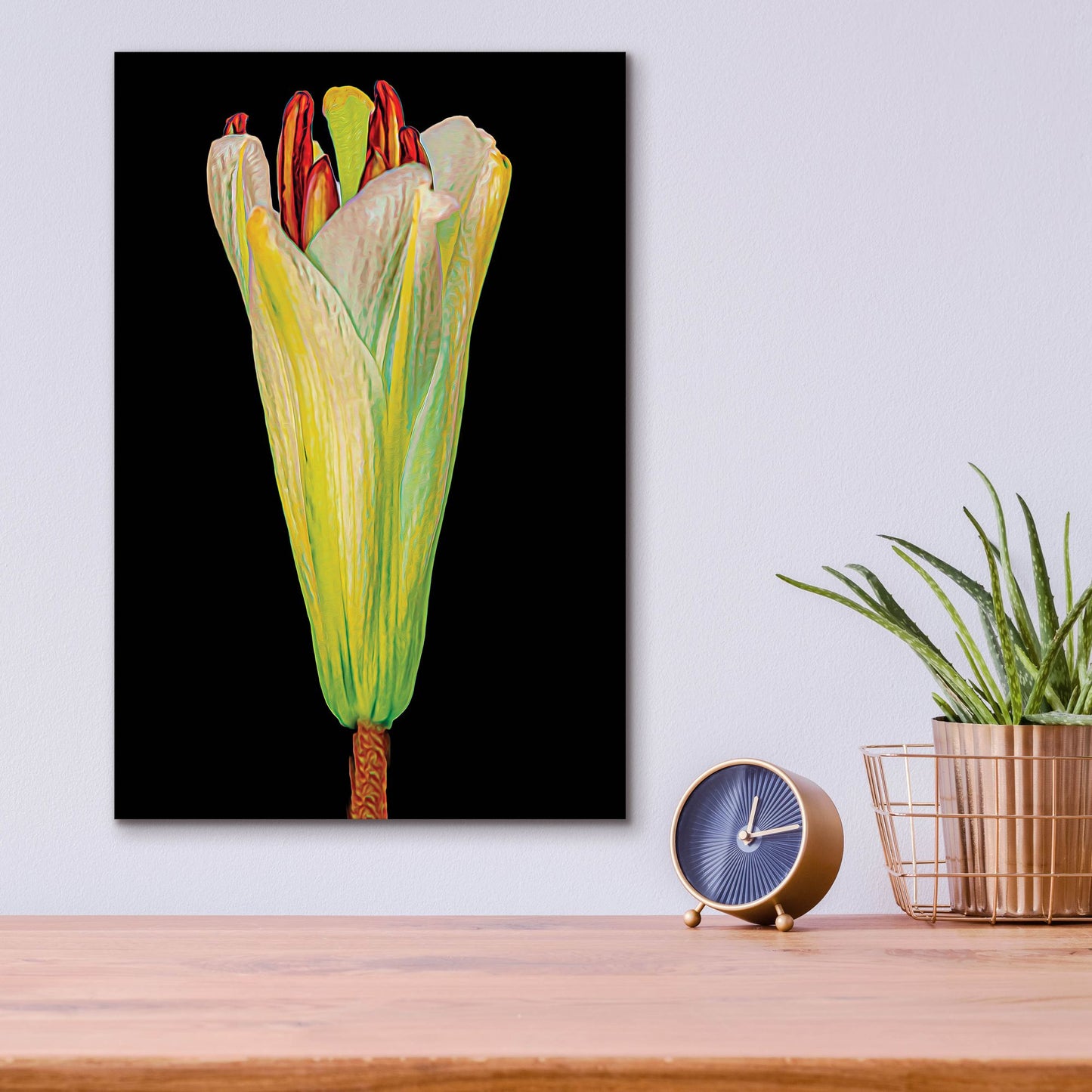 Epic Art 'Lily Bud' by Pamela Plummer, Acrylic Glass Wall Art,12x16