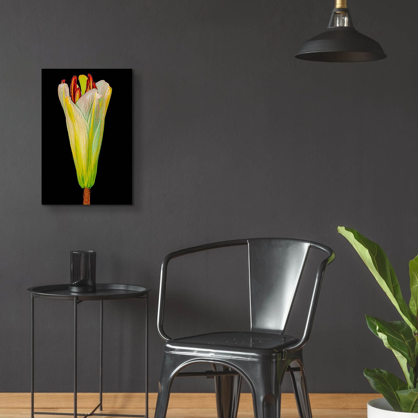 Epic Art 'Lily Bud' by Pamela Plummer, Acrylic Glass Wall Art,16x24