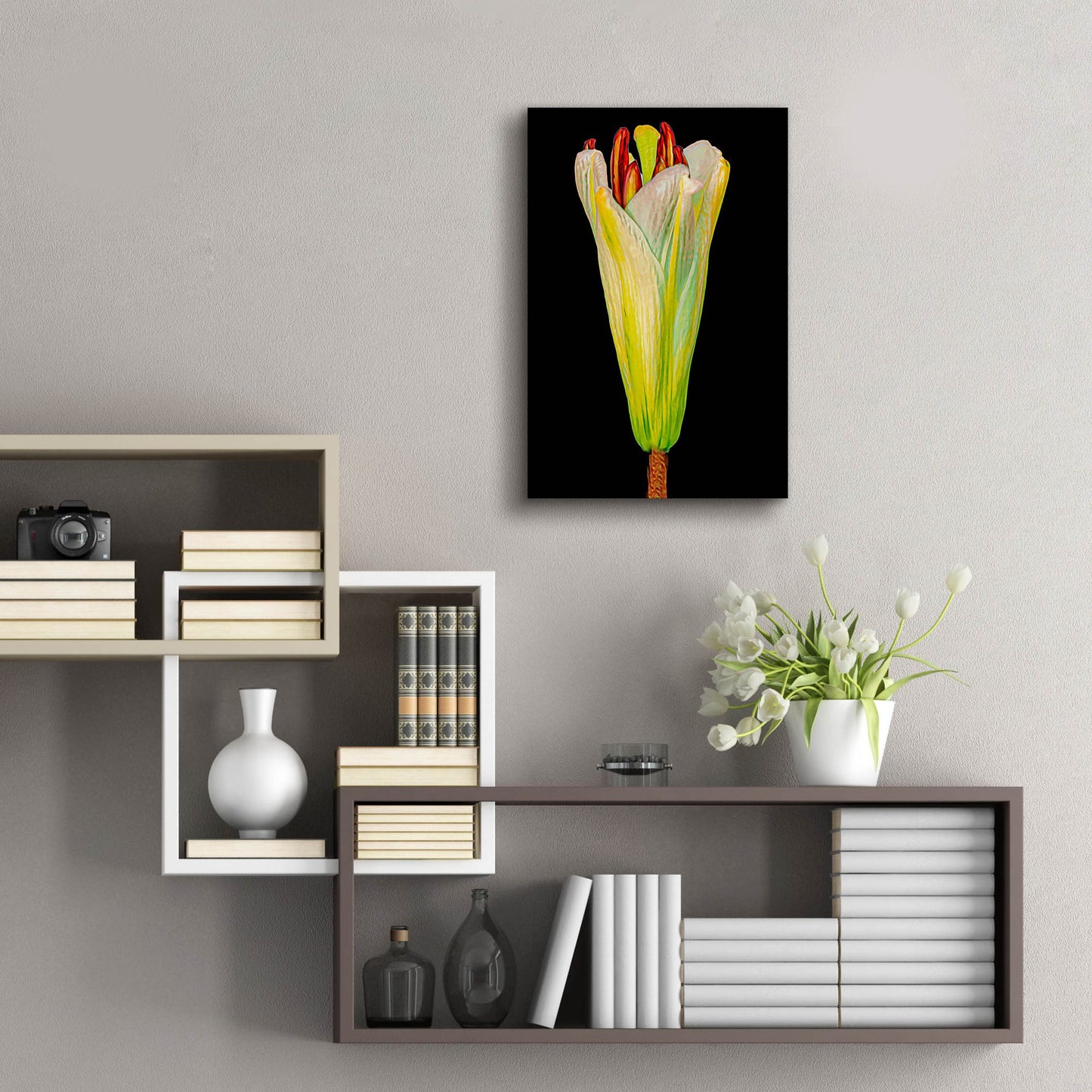 Epic Art 'Lily Bud' by Pamela Plummer, Acrylic Glass Wall Art,16x24