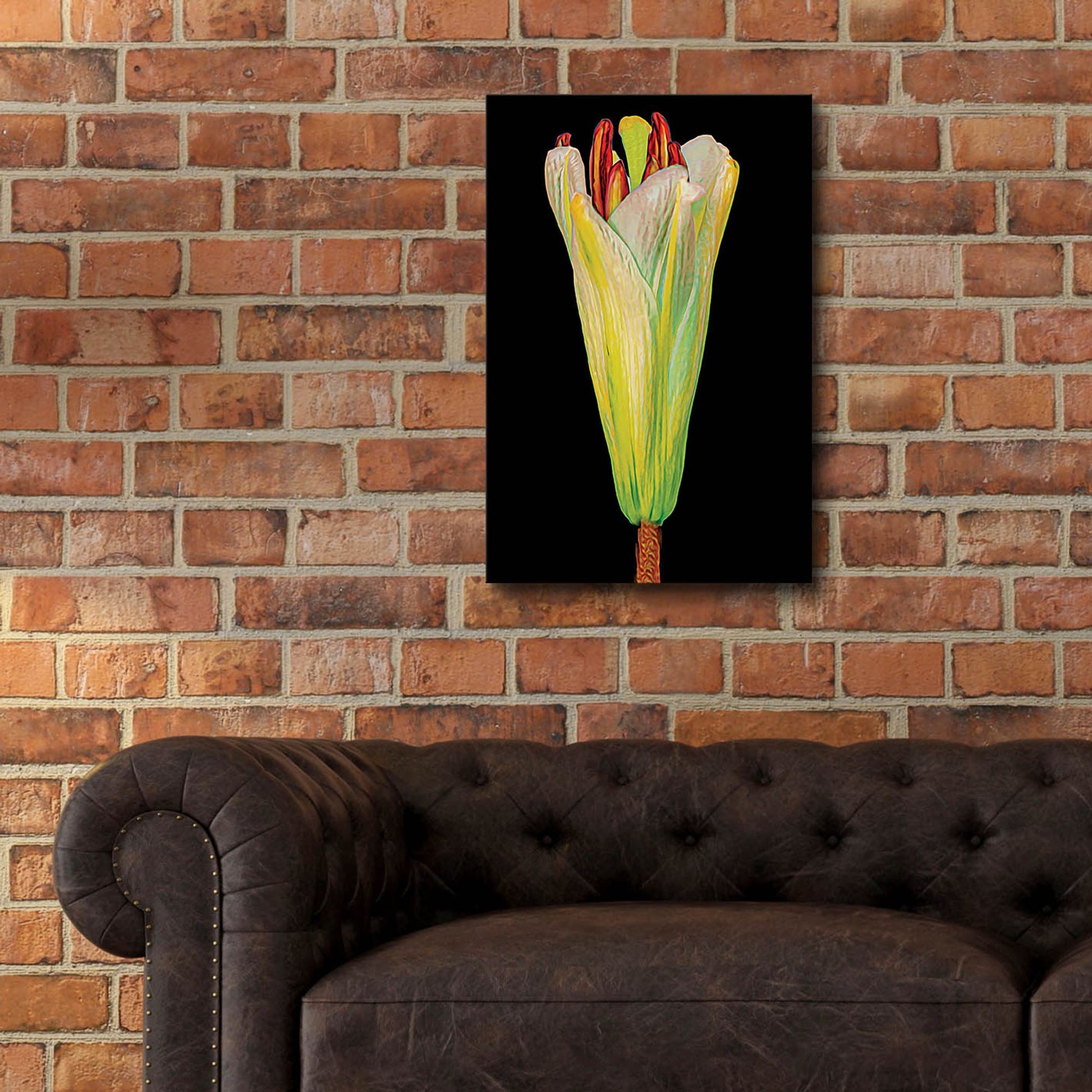 Epic Art 'Lily Bud' by Pamela Plummer, Acrylic Glass Wall Art,16x24