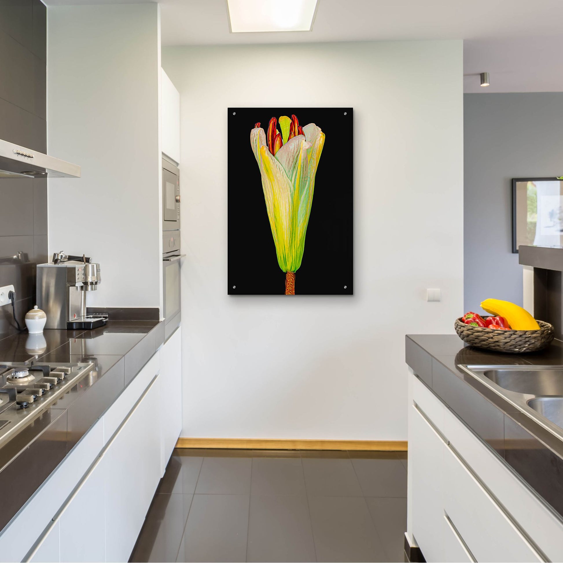 Epic Art 'Lily Bud' by Pamela Plummer, Acrylic Glass Wall Art,24x36