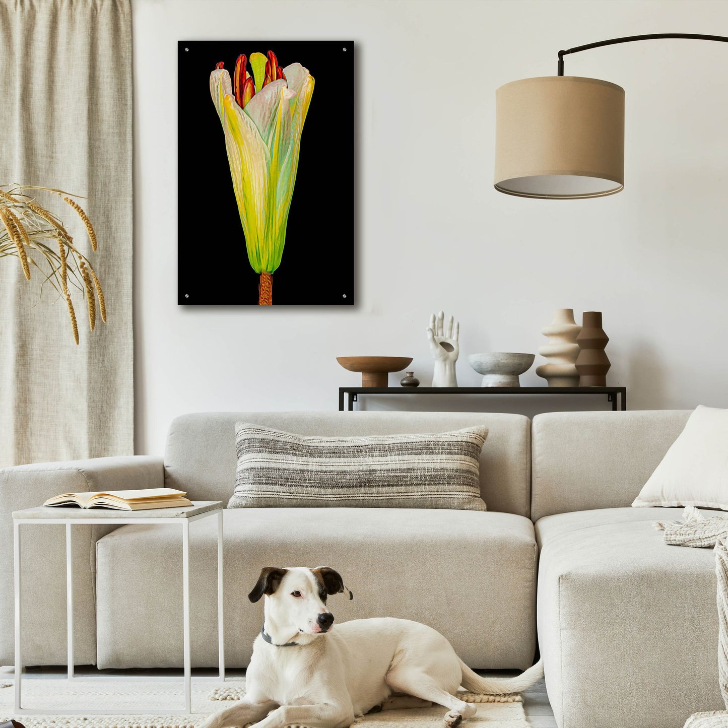 Epic Art 'Lily Bud' by Pamela Plummer, Acrylic Glass Wall Art,24x36