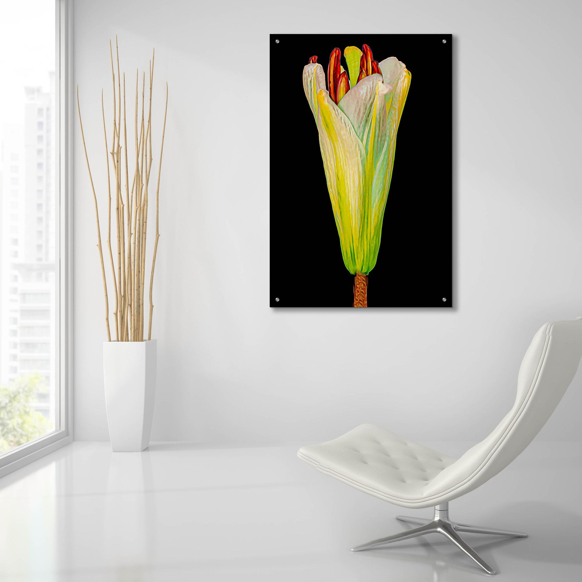 Epic Art 'Lily Bud' by Pamela Plummer, Acrylic Glass Wall Art,24x36