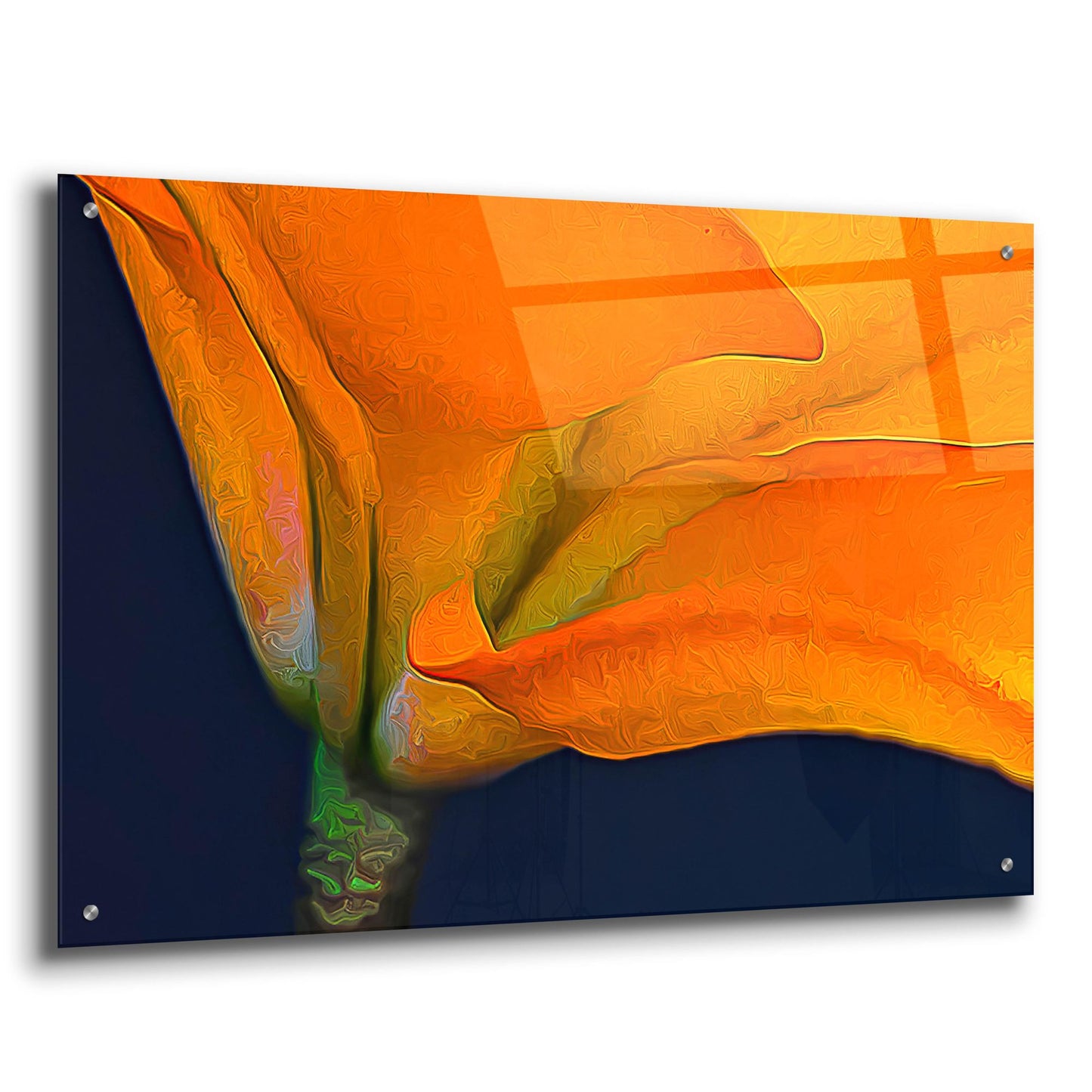 Epic Art 'Lily Dressed In Orange' by Pamela Plummer, Acrylic Glass Wall Art,36x24