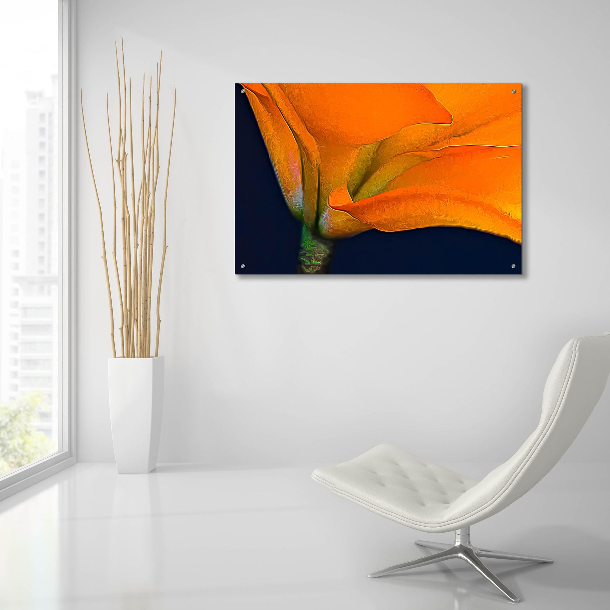 Epic Art 'Lily Dressed In Orange' by Pamela Plummer, Acrylic Glass Wall Art,36x24