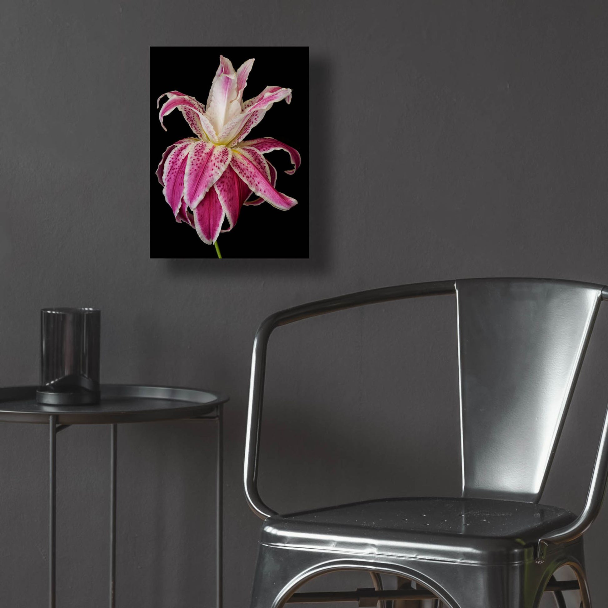 Epic Art 'Lily Queen' by Pamela Plummer, Acrylic Glass Wall Art,12x16