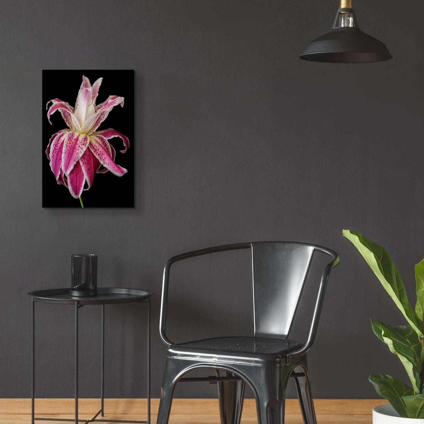 Epic Art 'Lily Queen' by Pamela Plummer, Acrylic Glass Wall Art,16x24