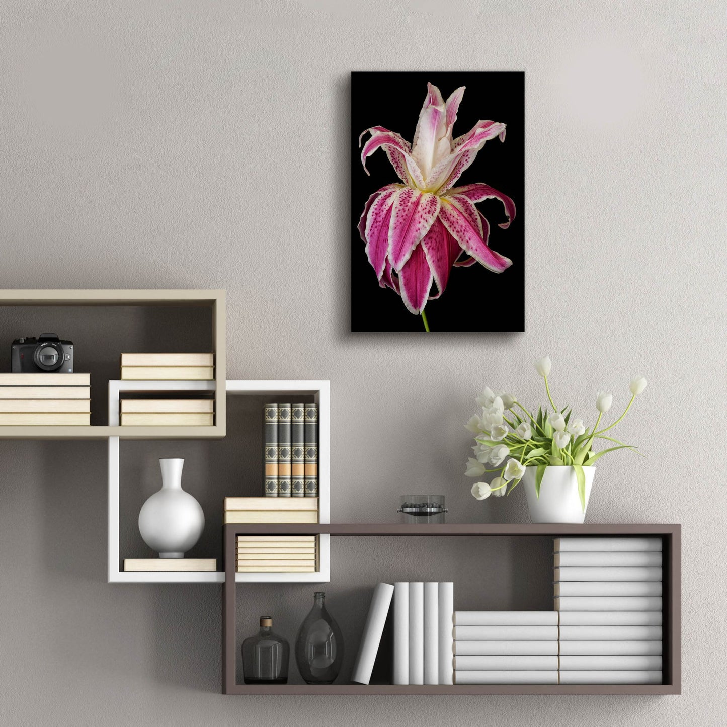 Epic Art 'Lily Queen' by Pamela Plummer, Acrylic Glass Wall Art,16x24