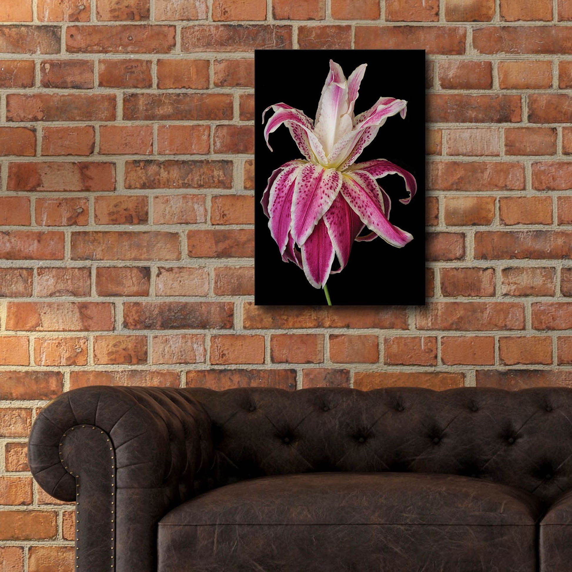 Epic Art 'Lily Queen' by Pamela Plummer, Acrylic Glass Wall Art,16x24