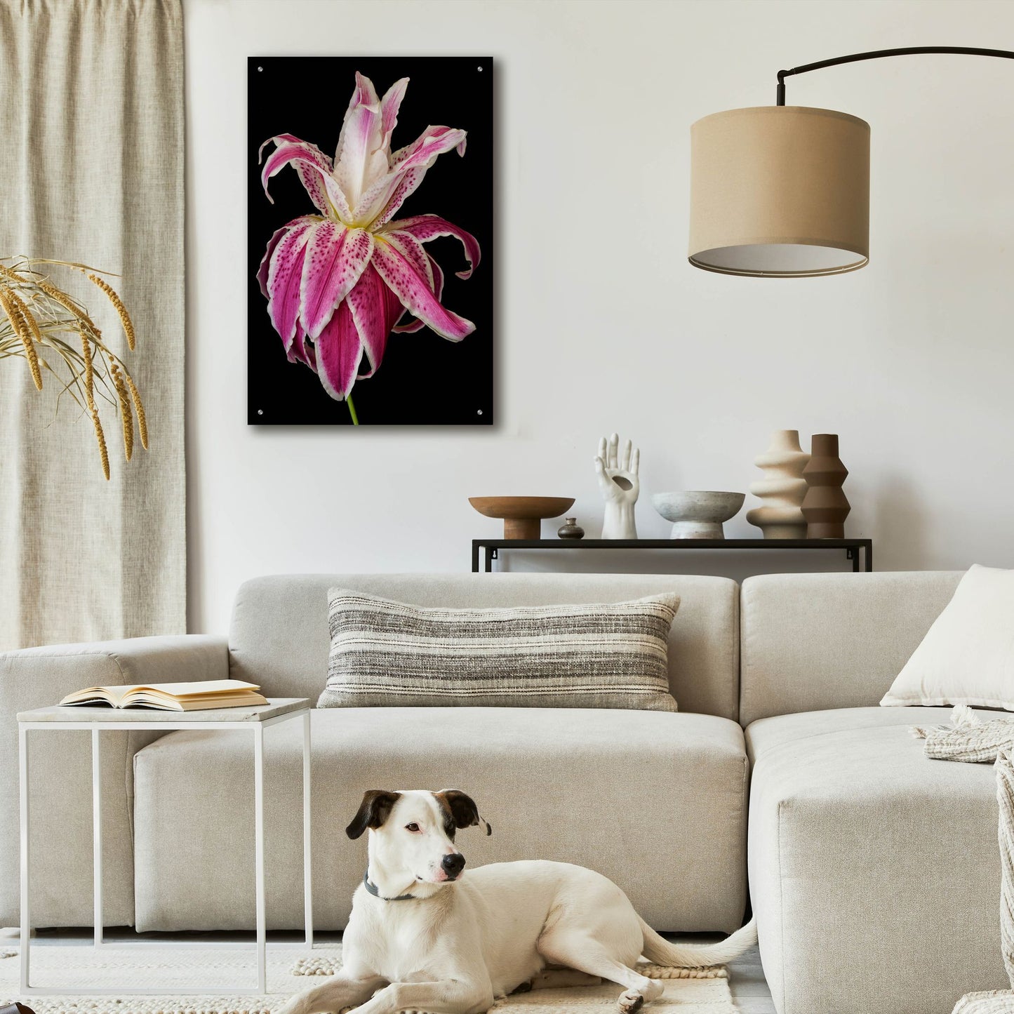 Epic Art 'Lily Queen' by Pamela Plummer, Acrylic Glass Wall Art,24x36